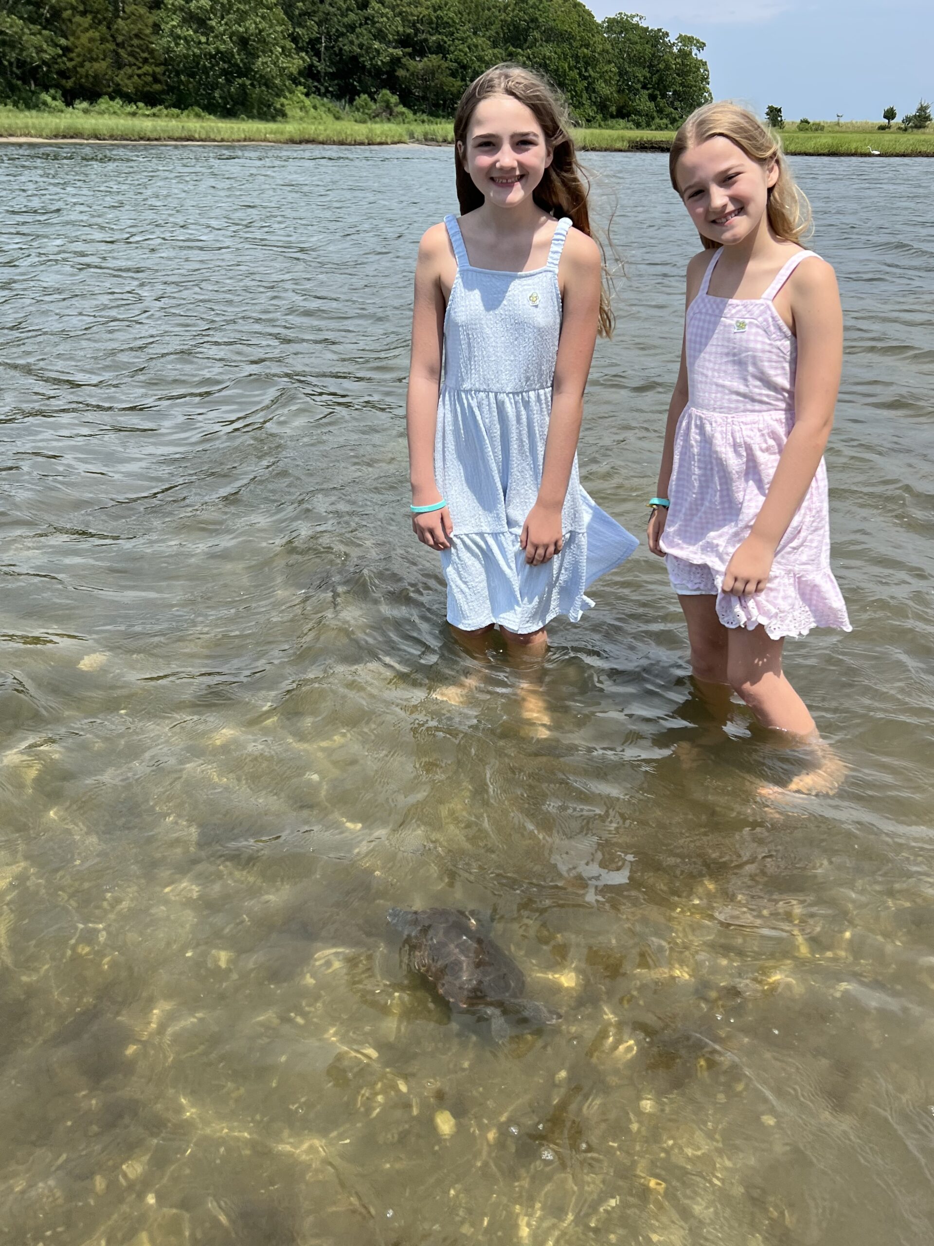 COURTESY JOHN WOBENSMITH Ella (left) and Gracie (right) releasing Lilly the turtle in Noyak Creek.