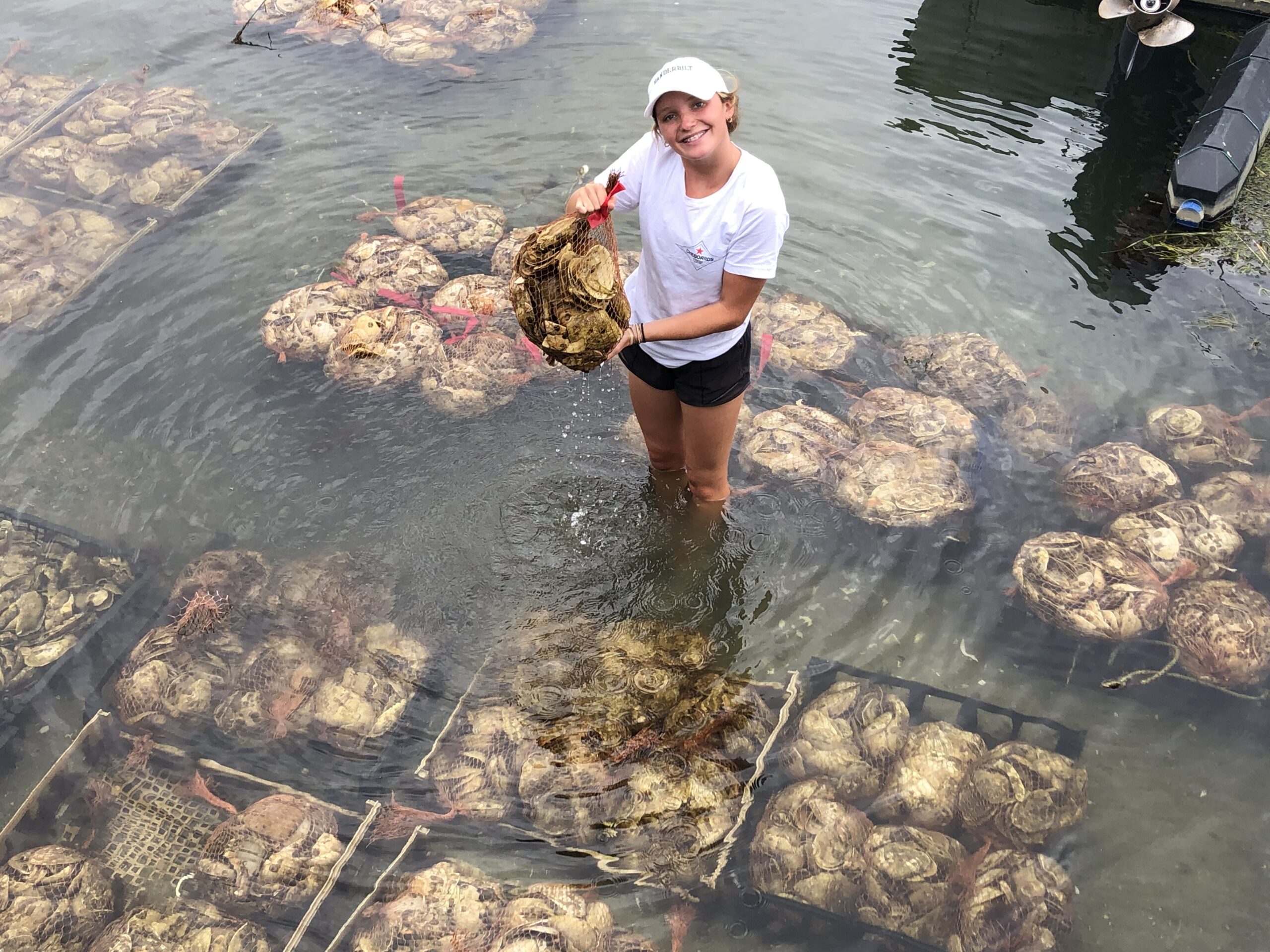 High schooler Skye Tanzmann working with the East Hampton Shellfish Hatchery to establish an oyster reef in order to help clean the bay and bring back marine life. JENNY NOBLE