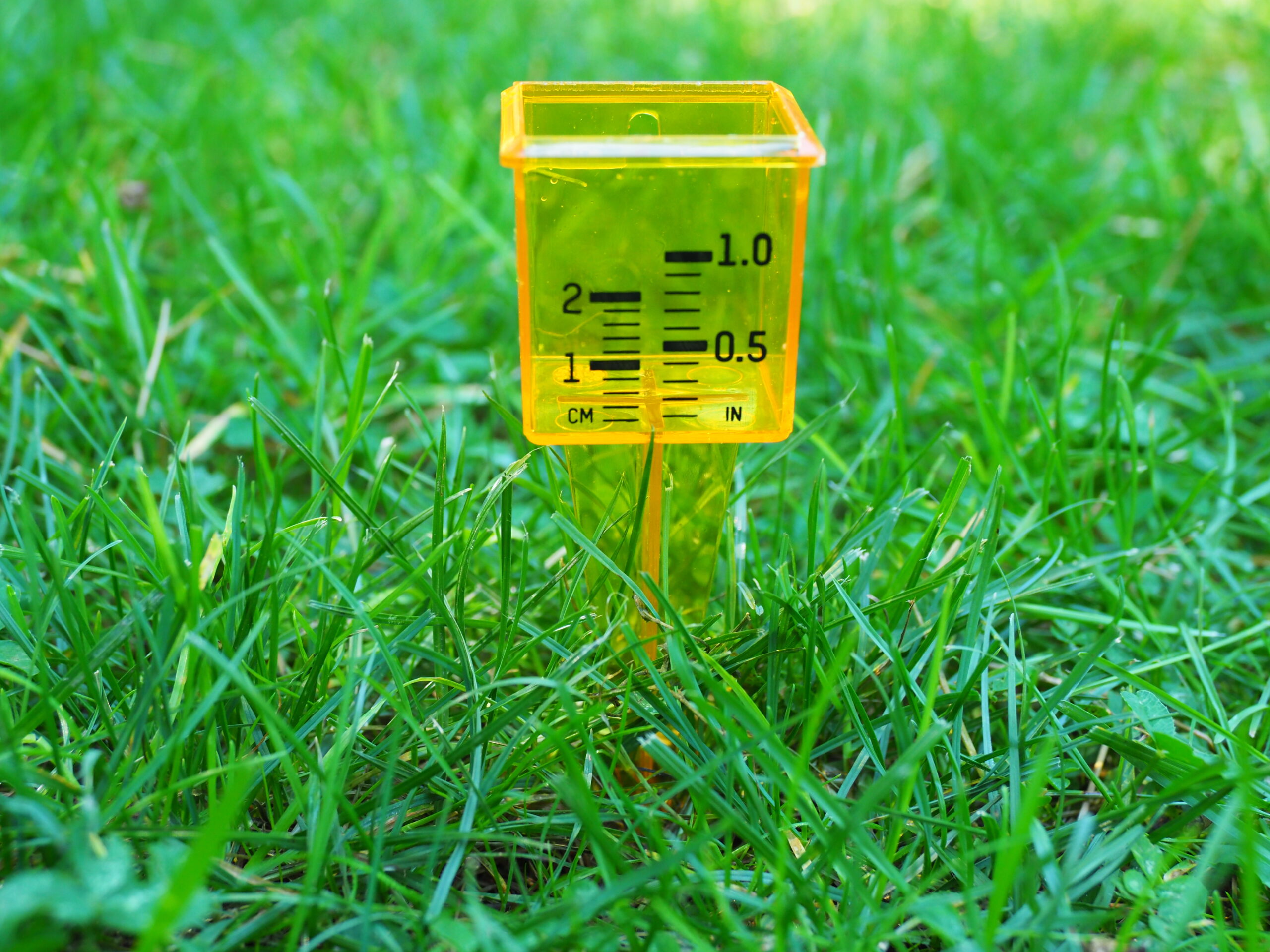 A very simple and cheap plastic water gauge will show you how much it’s rained or how much water a sprinkler is putting out.  Remember to empty it or your observations will be skewed.
ANDREW MESSINGER