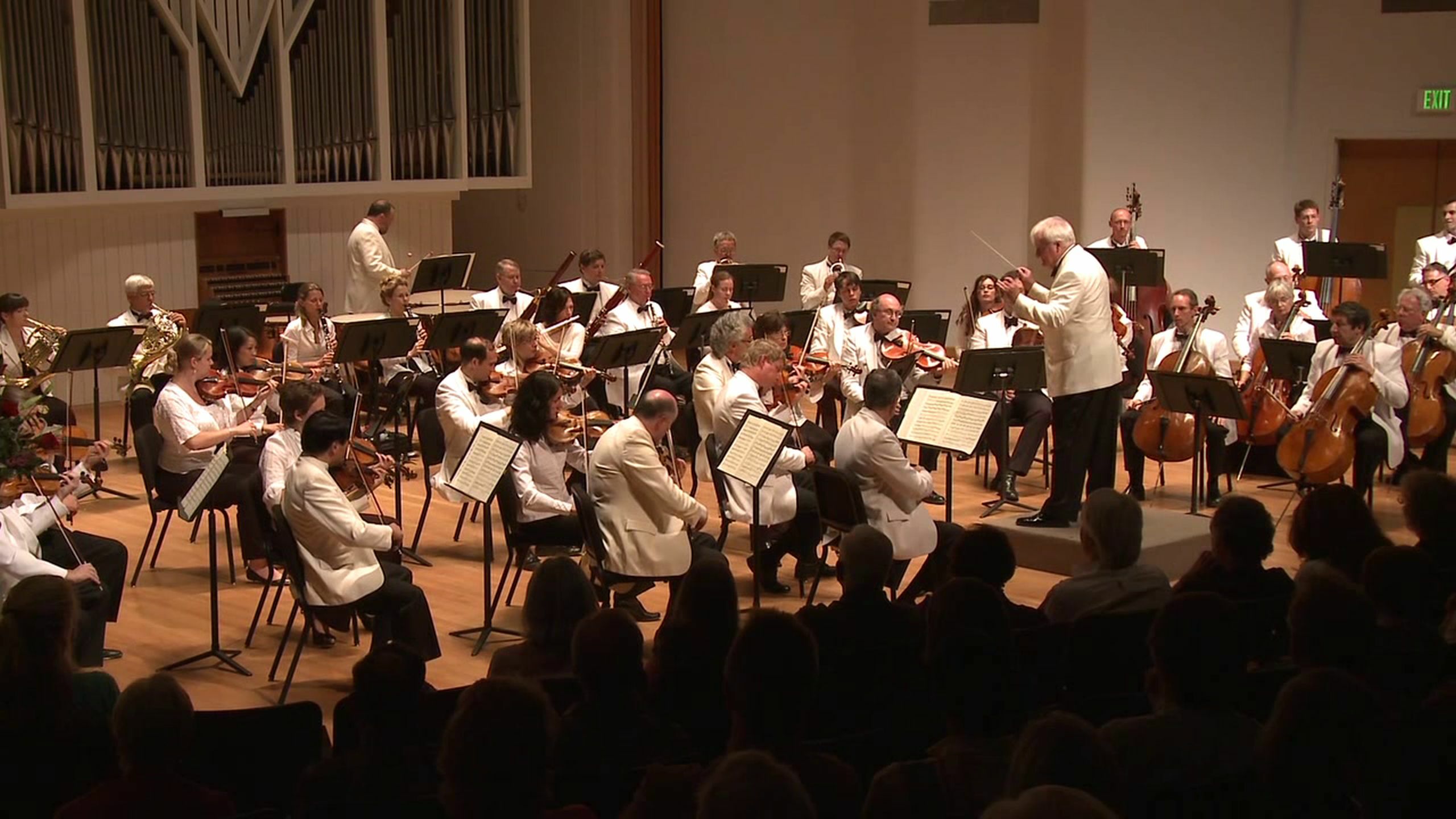 Maestro Michael Palmer conducting. COURTESY THE HAMPTONS FESTIVAL OF MUSIC