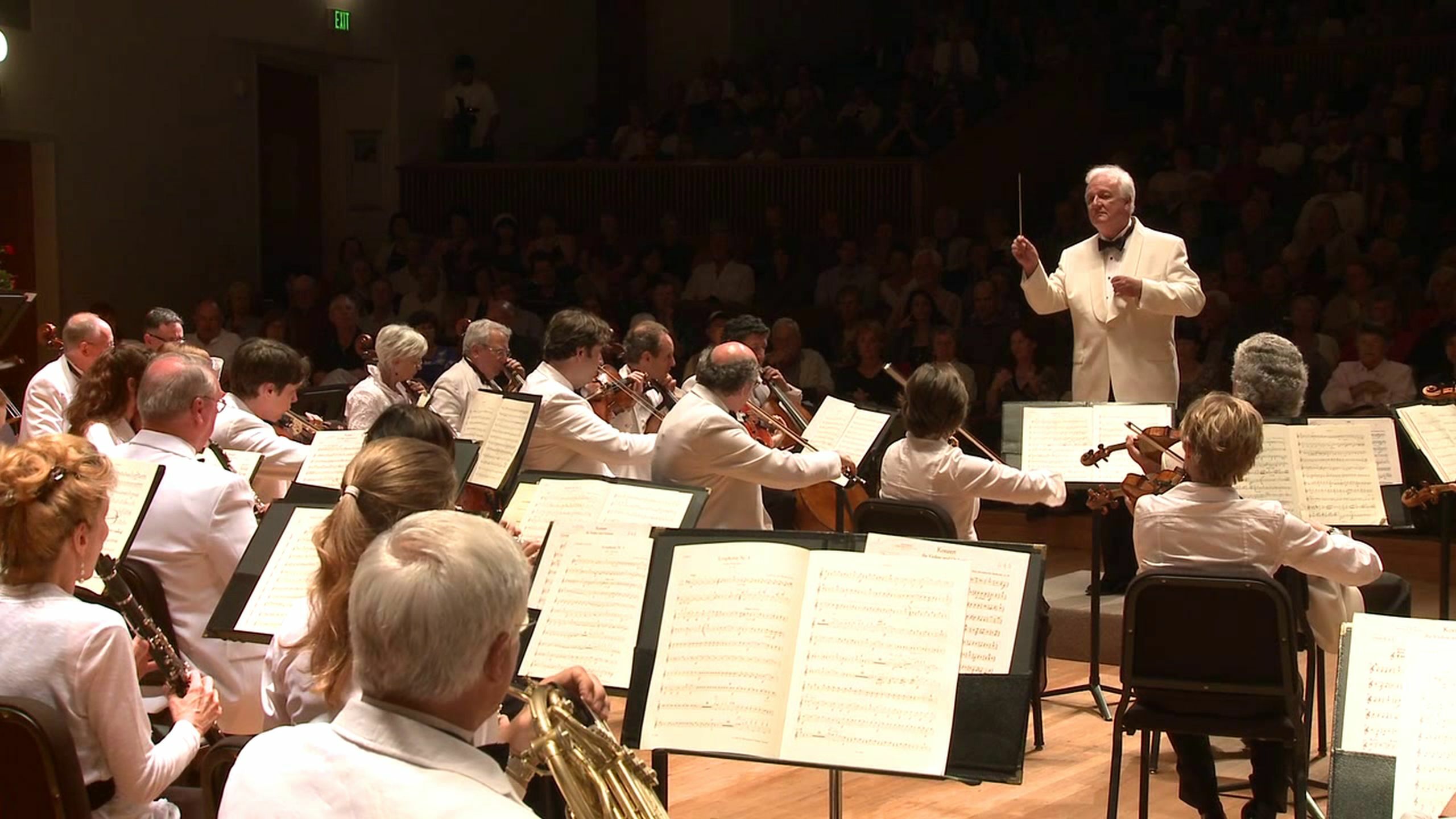 Maestro Michael Palmer conducting. COURTESY THE HAMPTONS FESTIVAL OF MUSIC