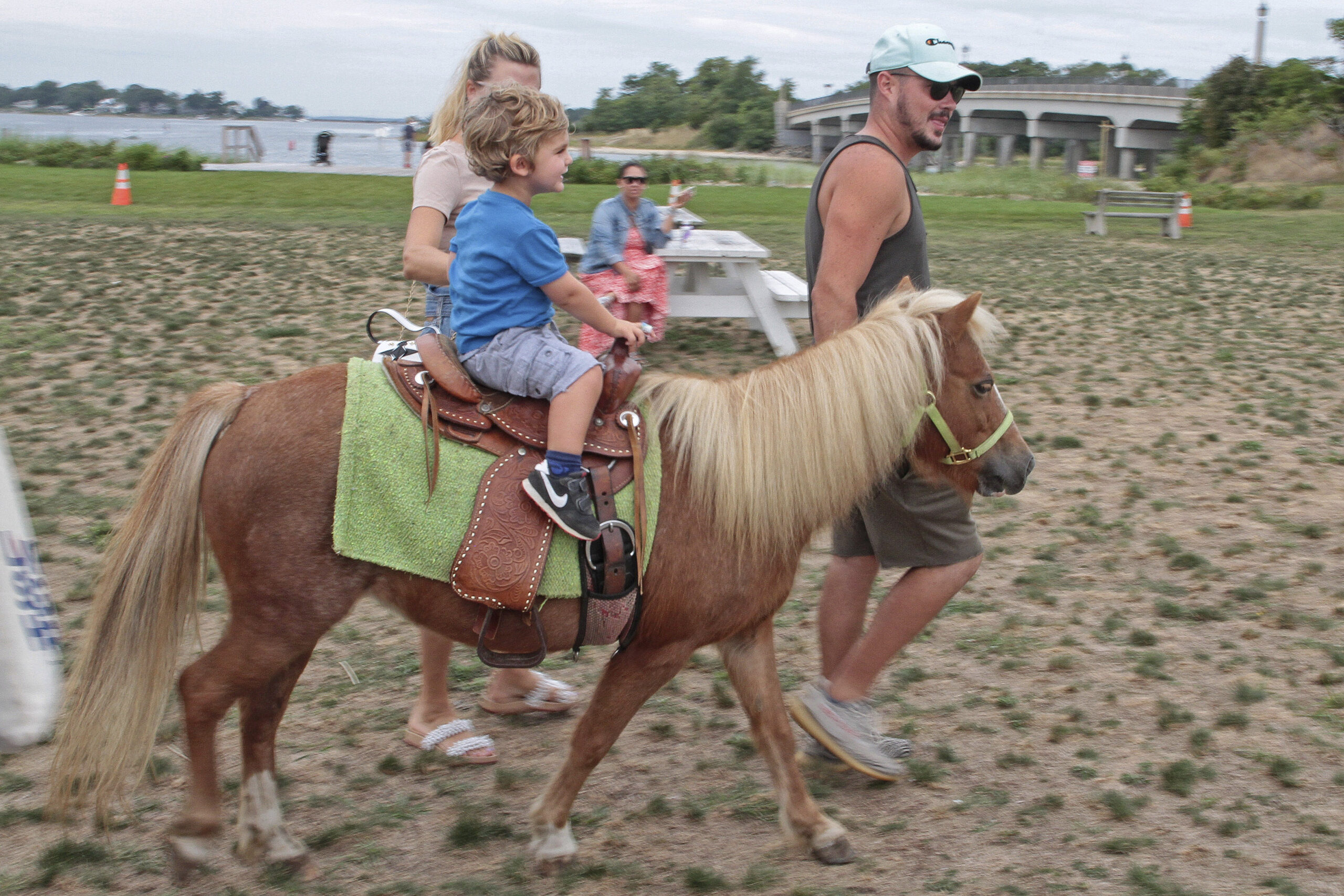 Tony the Pony and Barnyard Buddies in Steinbeck Park.