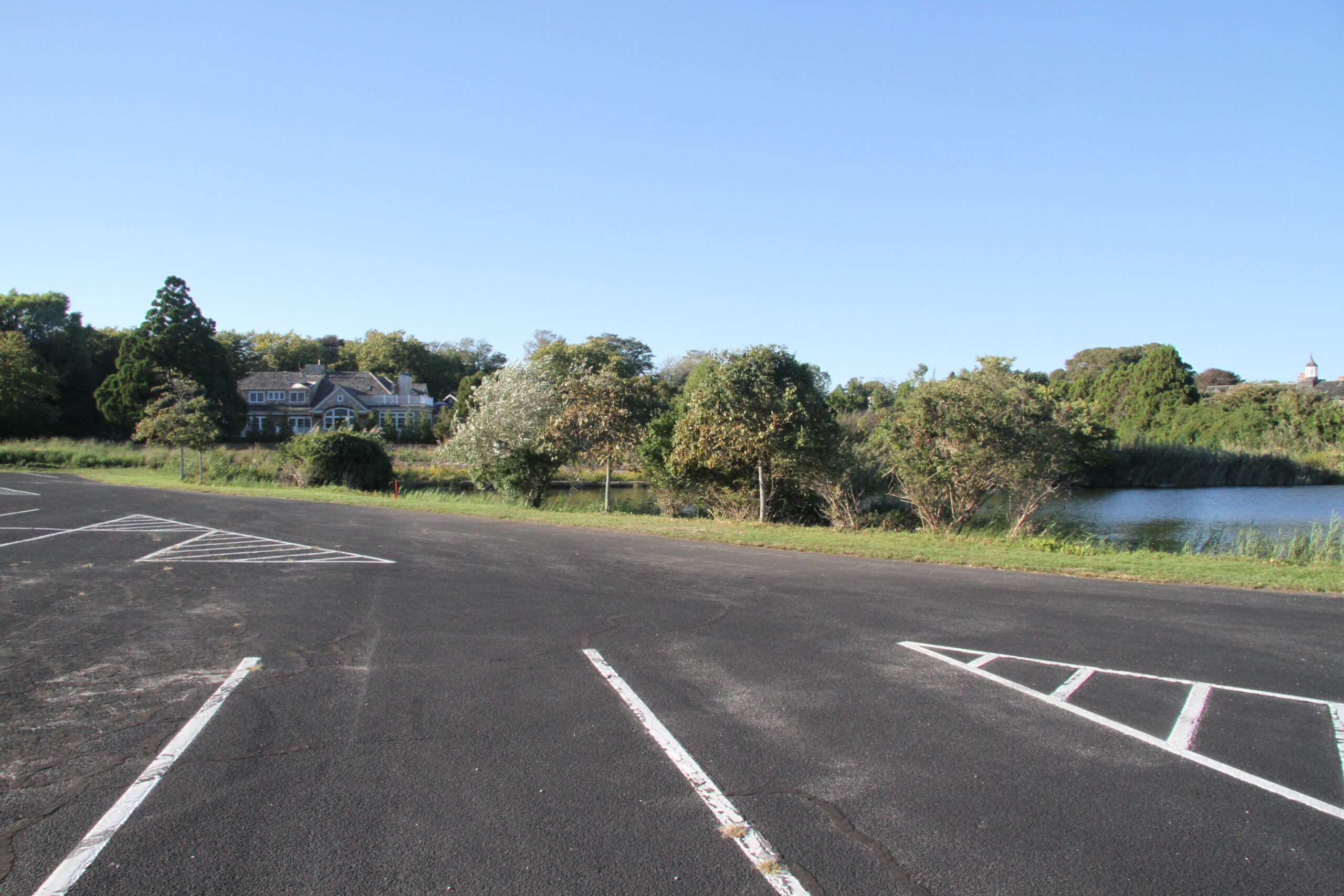 The owner of a house that was suddenly exposed to the Main Beach parking lot when East Hampton Town spent $4 million to purchase a neighboring house and tear it down has asked to be allowed to plant a row of trees along the edge of the lot.
