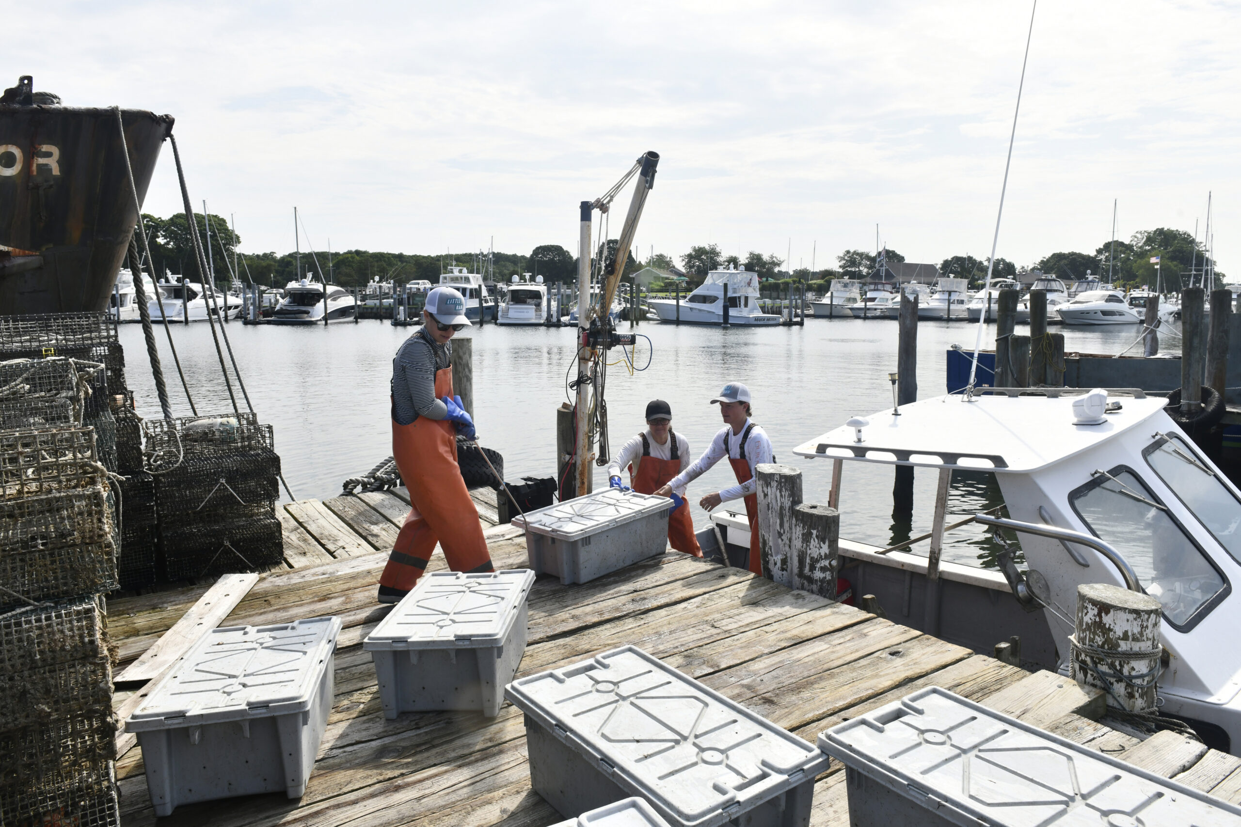 Elizabeth Peebles, Briget Nelson and Stefanie Bassett of the Little Ram Oyster Co unload harvested oysters.    DANA SHAW