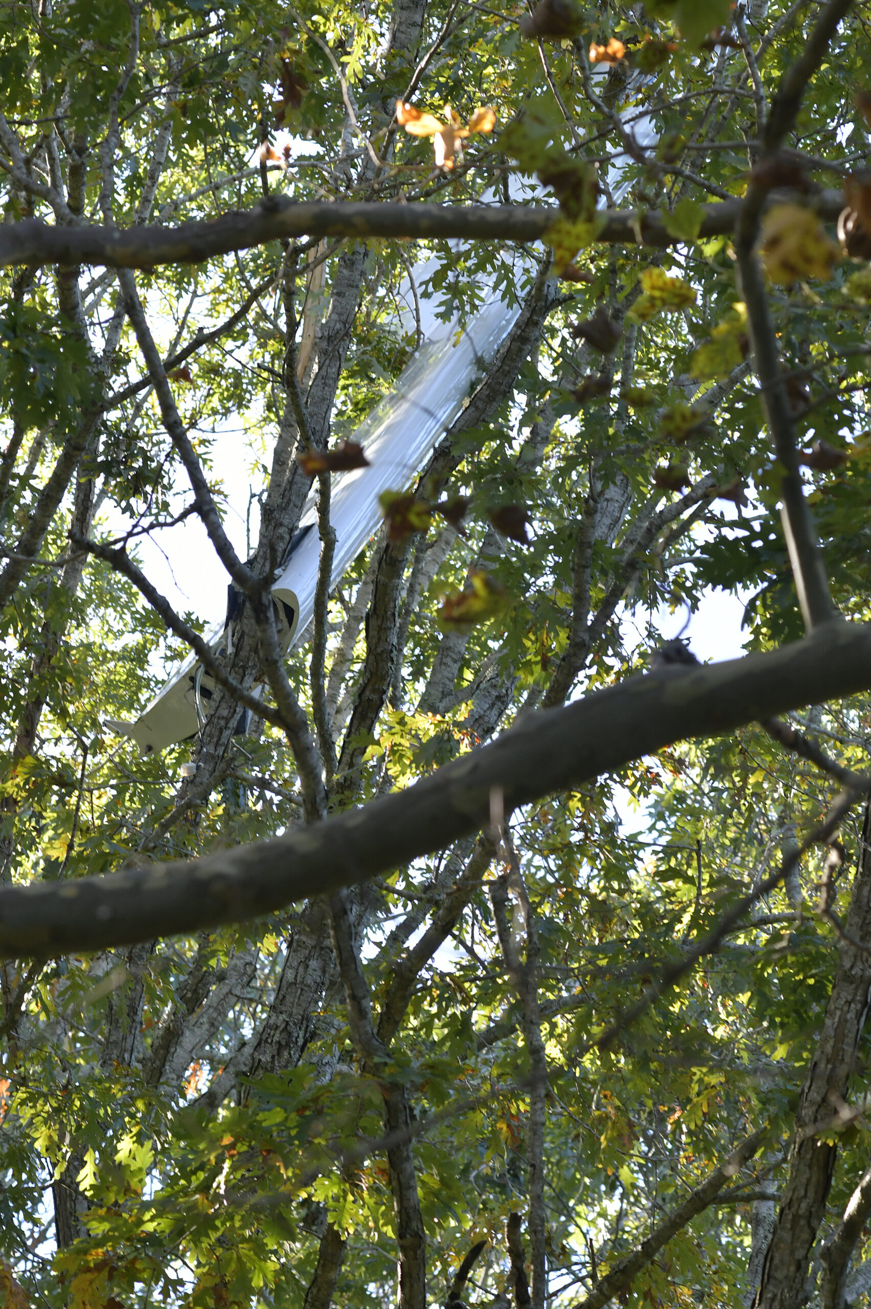 A portion of the plane's wing came to rest in a tree in a neighborhood near the crash.   DANA SHAW