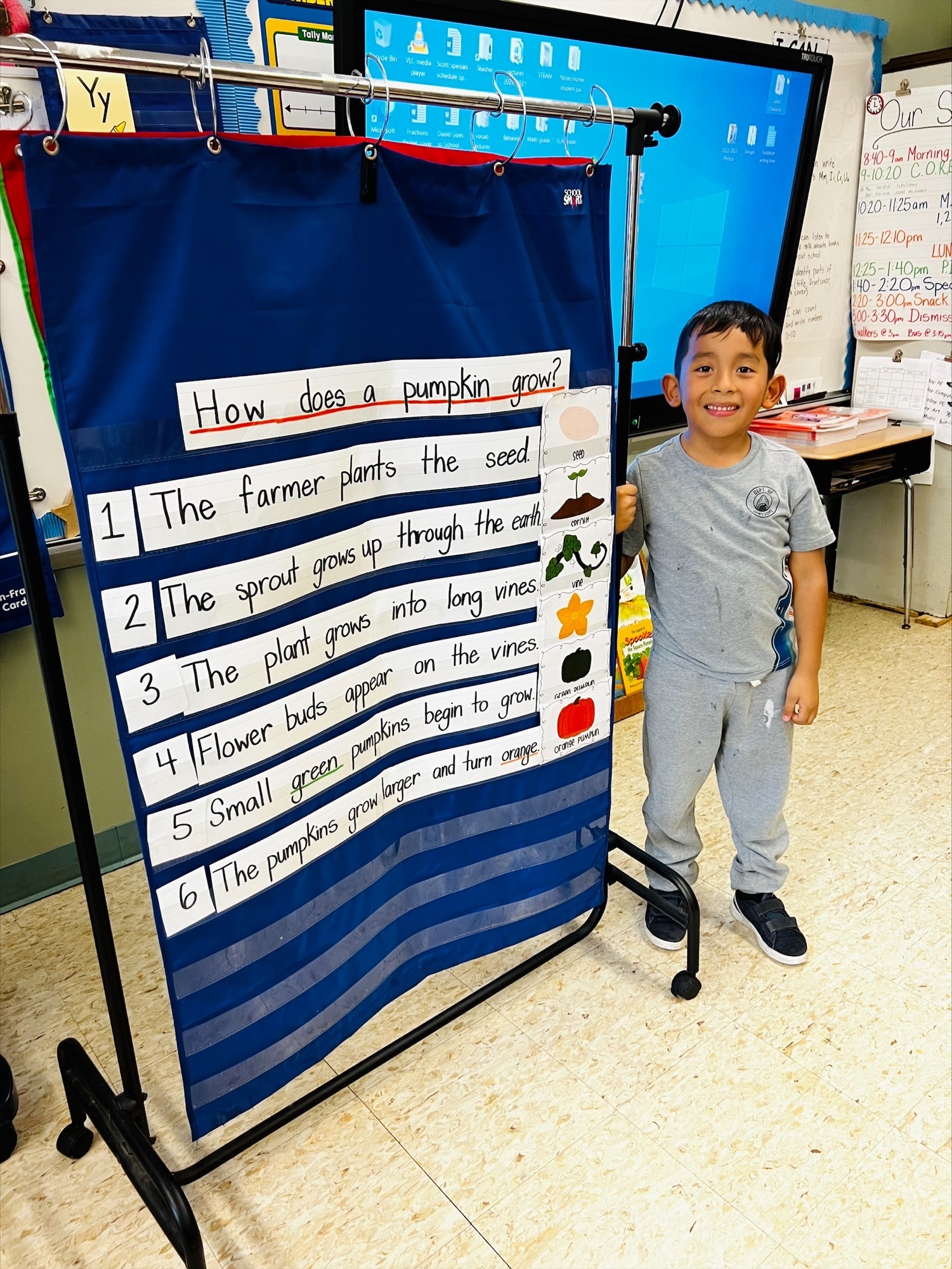 Hampton Bays Elementary School first graders, including Josue Valladares, have been studying pumpkins and how they grow. They read books on the subject, learned words appropriate vocabulary,  and put pictures in order to show the stages of pumpkin growth. COURTESY HAMPTON BAYS SCHOOL DISTRICT
