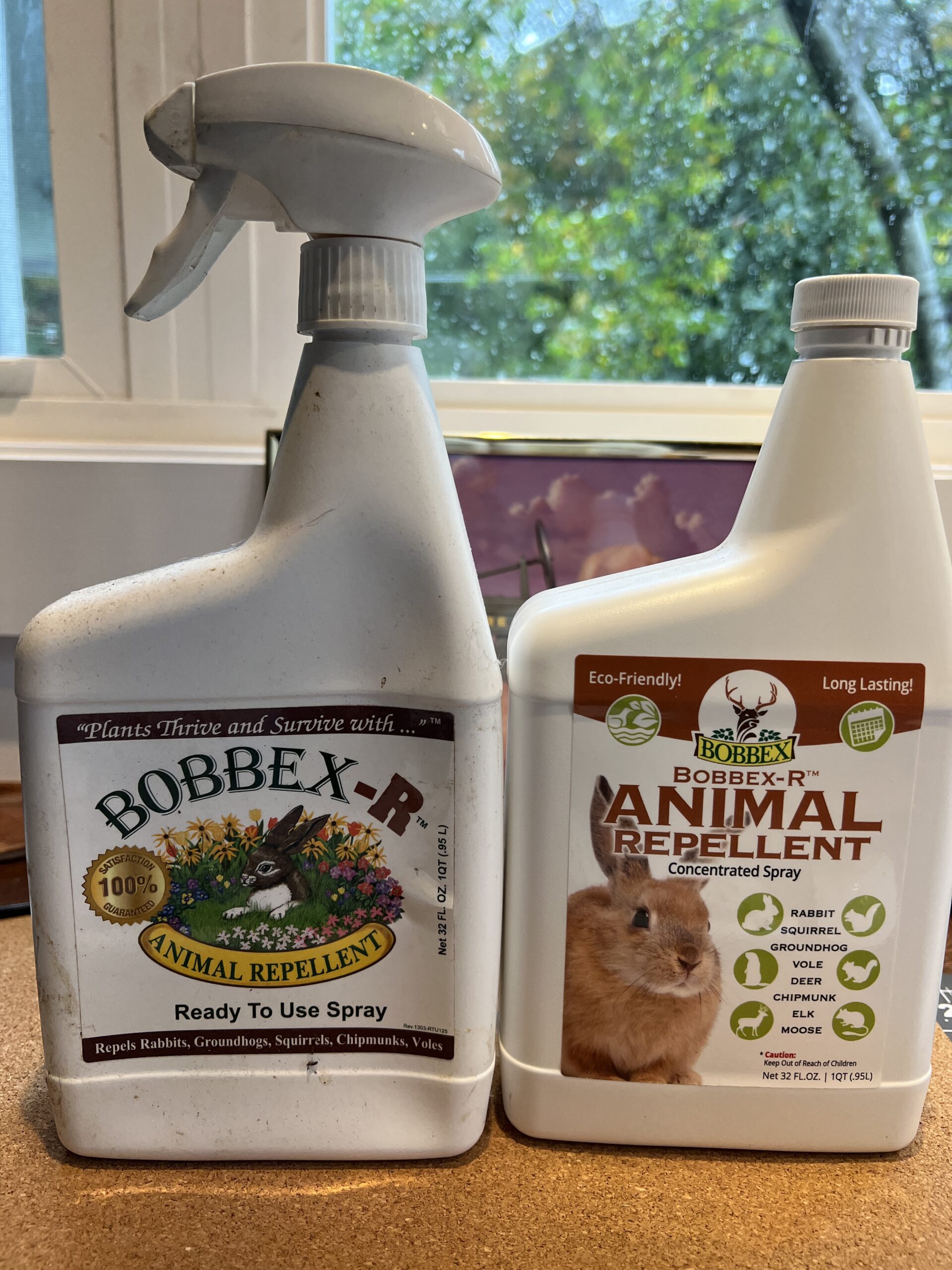 The Bobbex-R on the left is an RTU (ready to use) 32-ounce bottle. Great for spraying lily buds so chipmunks won’t eat them. A bottle of the 32-ounce concentrate on the left, which is good for bulb dips. If you can’t find it a local garden centers it’s available online. ANDREW MESSINGER