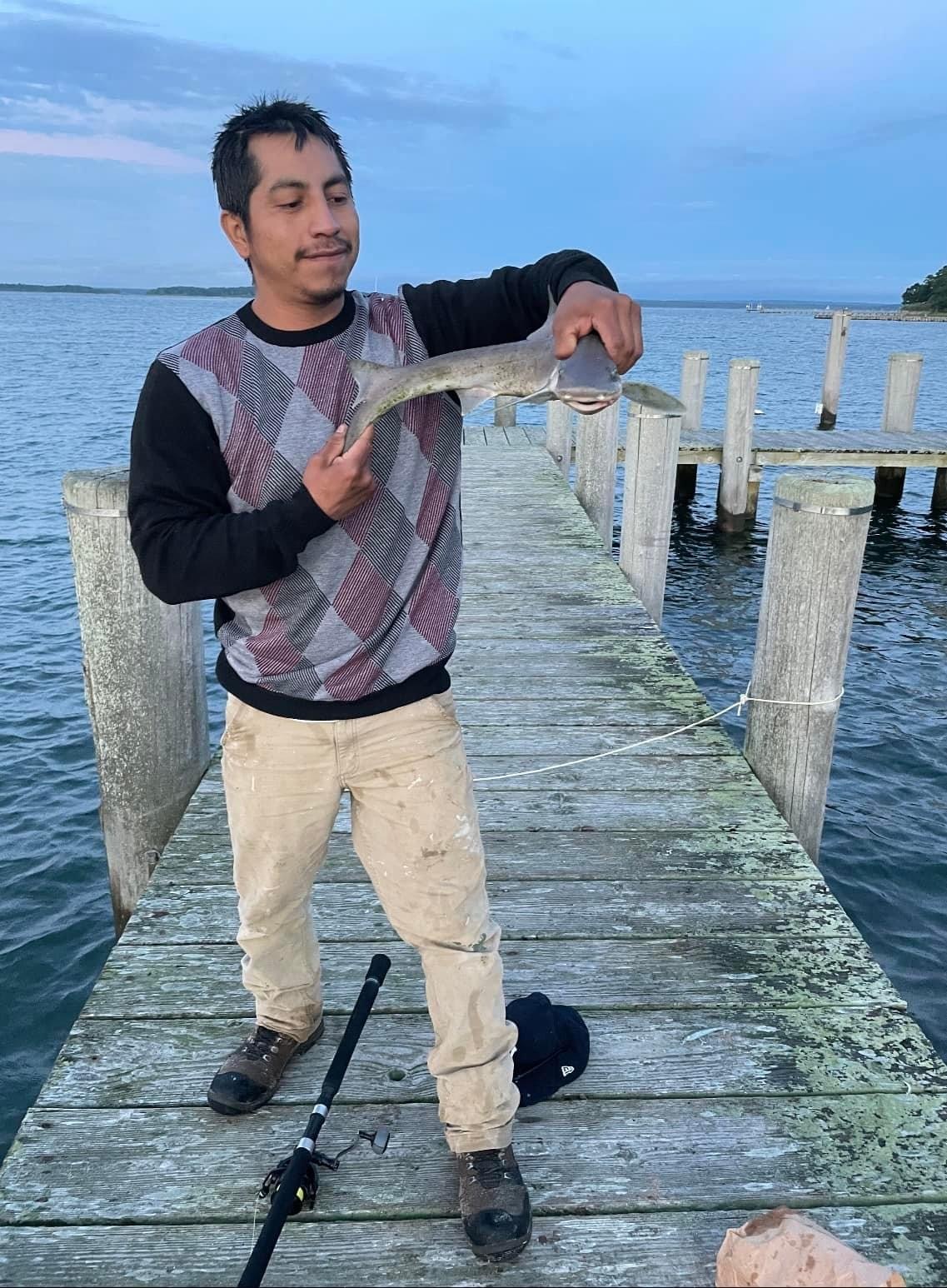 The family of Dario Cholula Rojas, who disappeared the night of October 19 when he went fishing in a kayak off Tyndal Point in North Haven, have offered a $2,000 reward to the person who recovers his body.