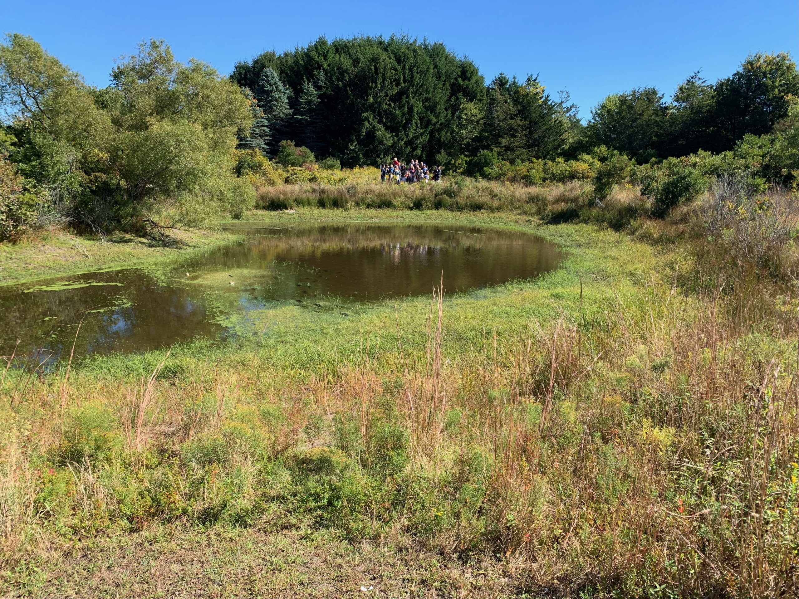 The vineyard field pond at the South Fork Natural History Museum, with a group of attendees at Saturday's anniversary celebration for the Friends of the Long Pond Greenbelt. COURTESY FRIENDS OF THE LONG POND GREENBELT