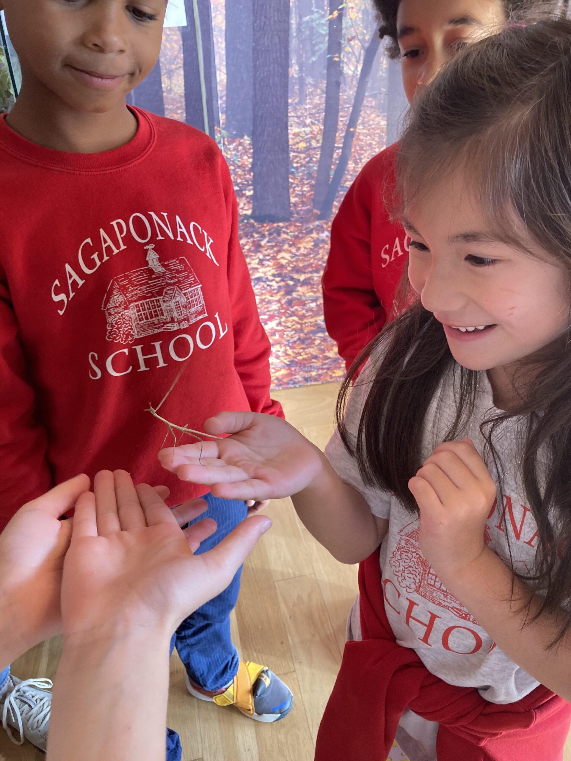 Sagaponack School students had a hands-on experience with a stick bug during their educational lesson at SOFO. COURTESY SAGAPONACK SCHOOL