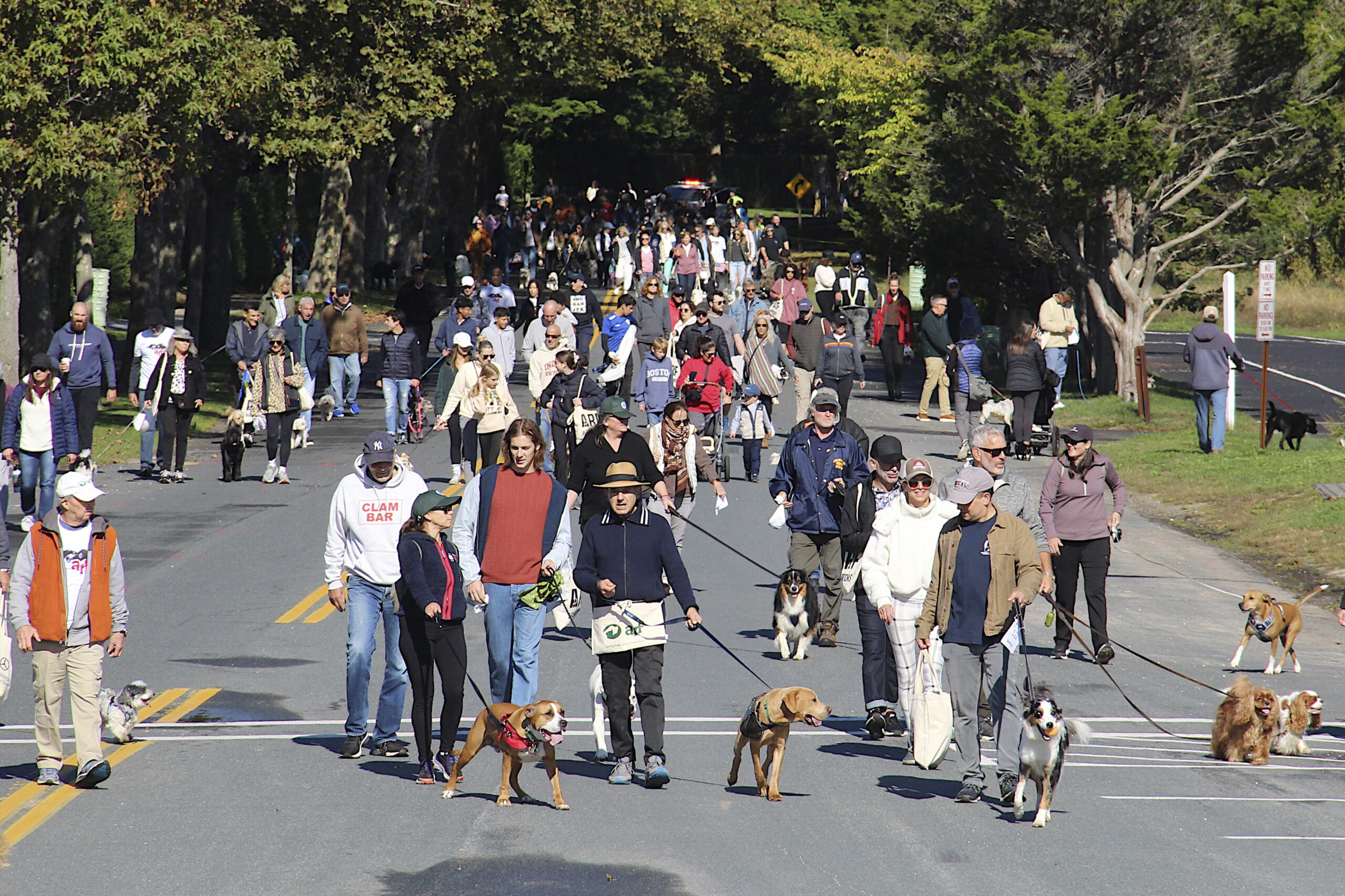 The Animal Rescue Fund of the Hamptons (AFR) Stroll to the Sea Dog Walk, the two mile dog walk from Mulford Farm to the ocean and back, on Saturday.  KYRIL BROMLEY