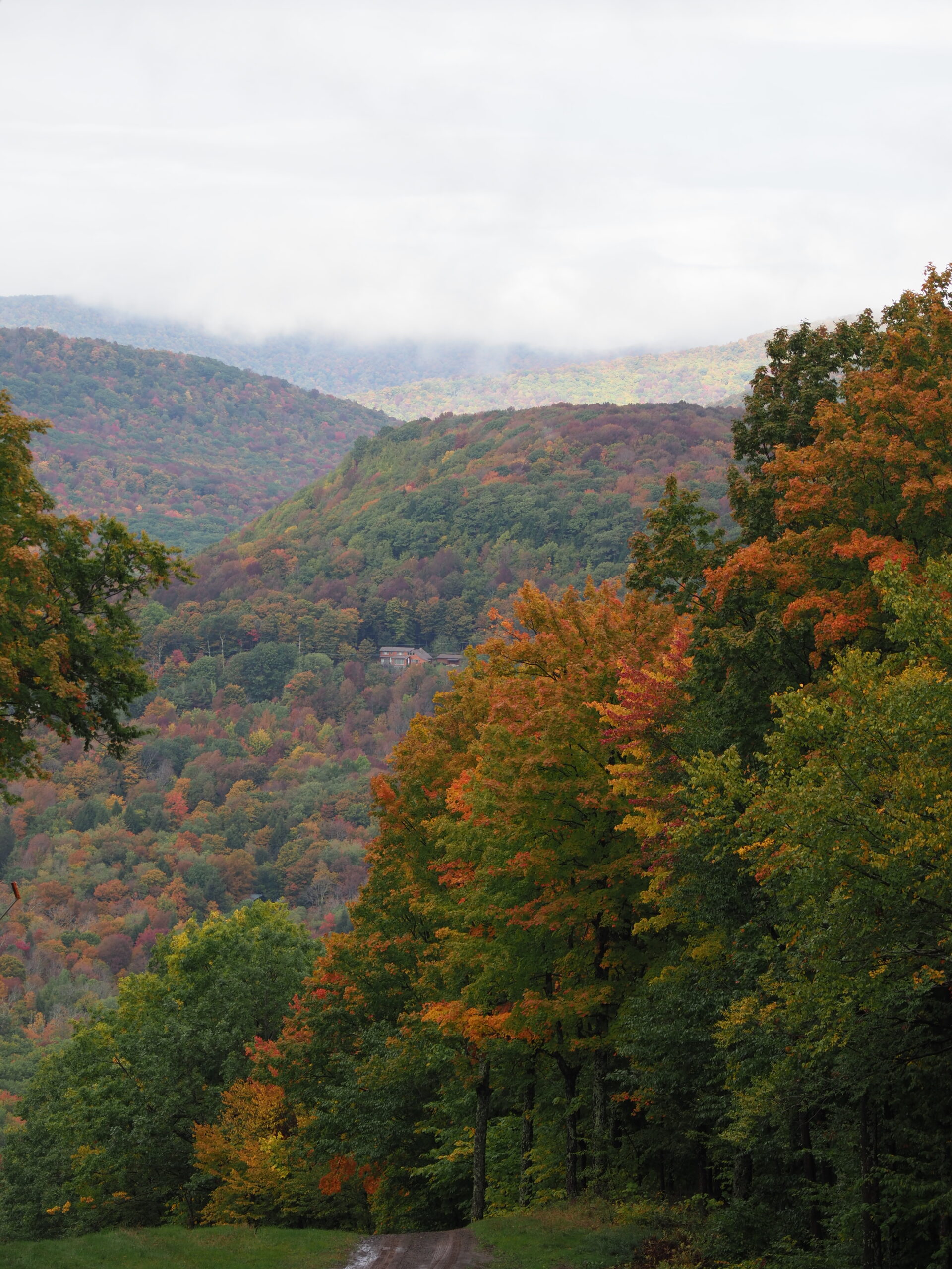 Looking from the top of a ski run in southern Massachusetts, the valley below shows the richness of fall colors that can last for weeks or days depending on the year.  ANDREW MESSINGER