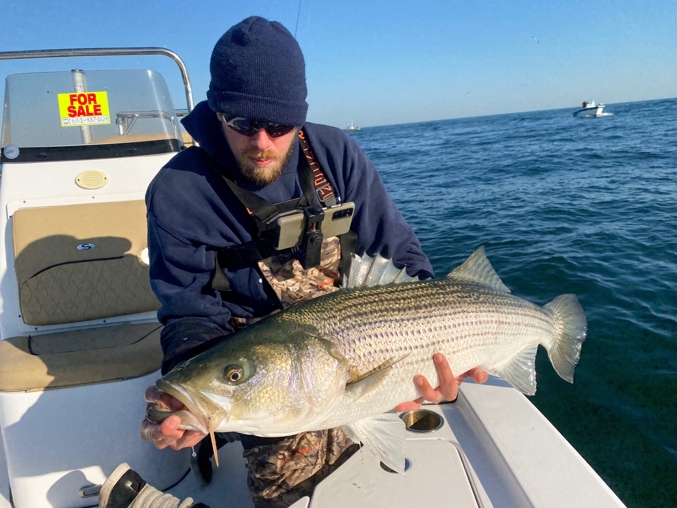 Mike Ozkaya of Hampton Bays with a big striped bass caught on fly last month.    JEFF LOMANACO
