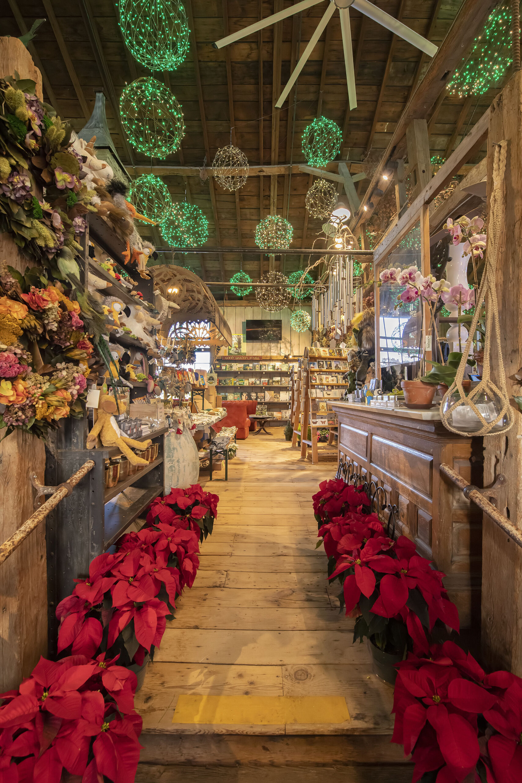 The 2021 Christmas display at Marders Nursery, photographed on November 30th, 2021.  MICHAEL HELLER