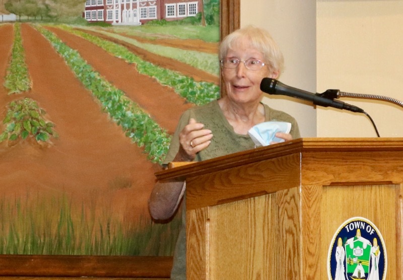 Sr. Margaret Smyth speaking at a Riverhead Town Board public hearing in August 2021. DENISE CIVILETTI