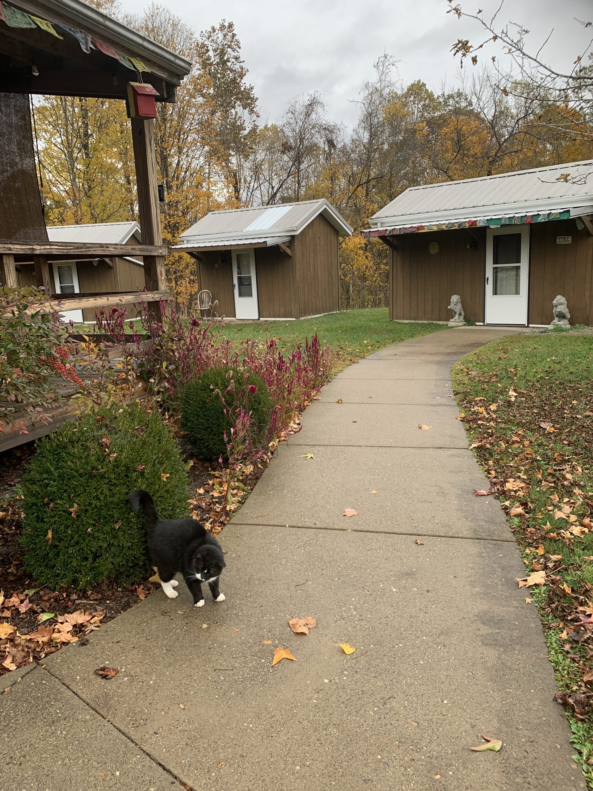 Cabins where student guitarists stay at Jorma Kaukonen's Fur Peace Ranch in southern Ohio. ANNETTE HINKLE