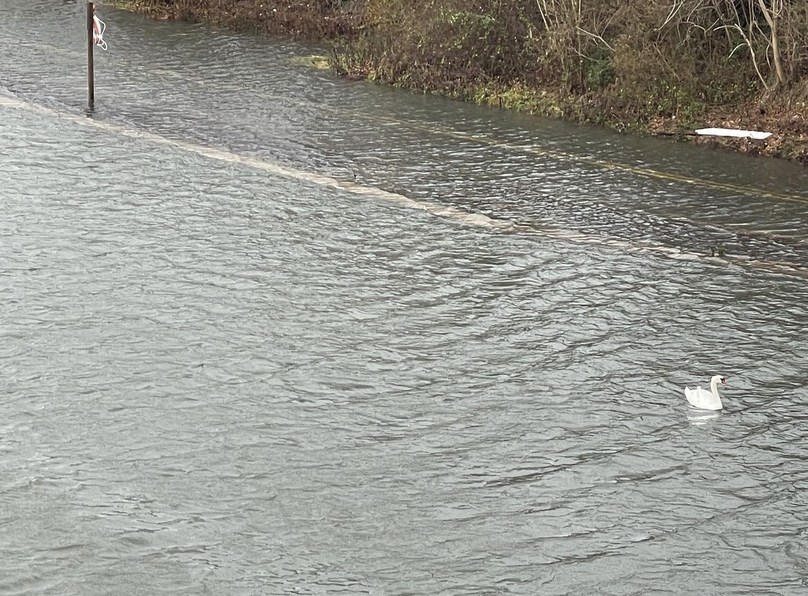 Abnormally high tides combined with the surge from Thursday night's storm caused unprecedented flooding along parts of the South Shore on Friday morning, including at the Shinnecock Canal, where the water overtopped the canal locks.