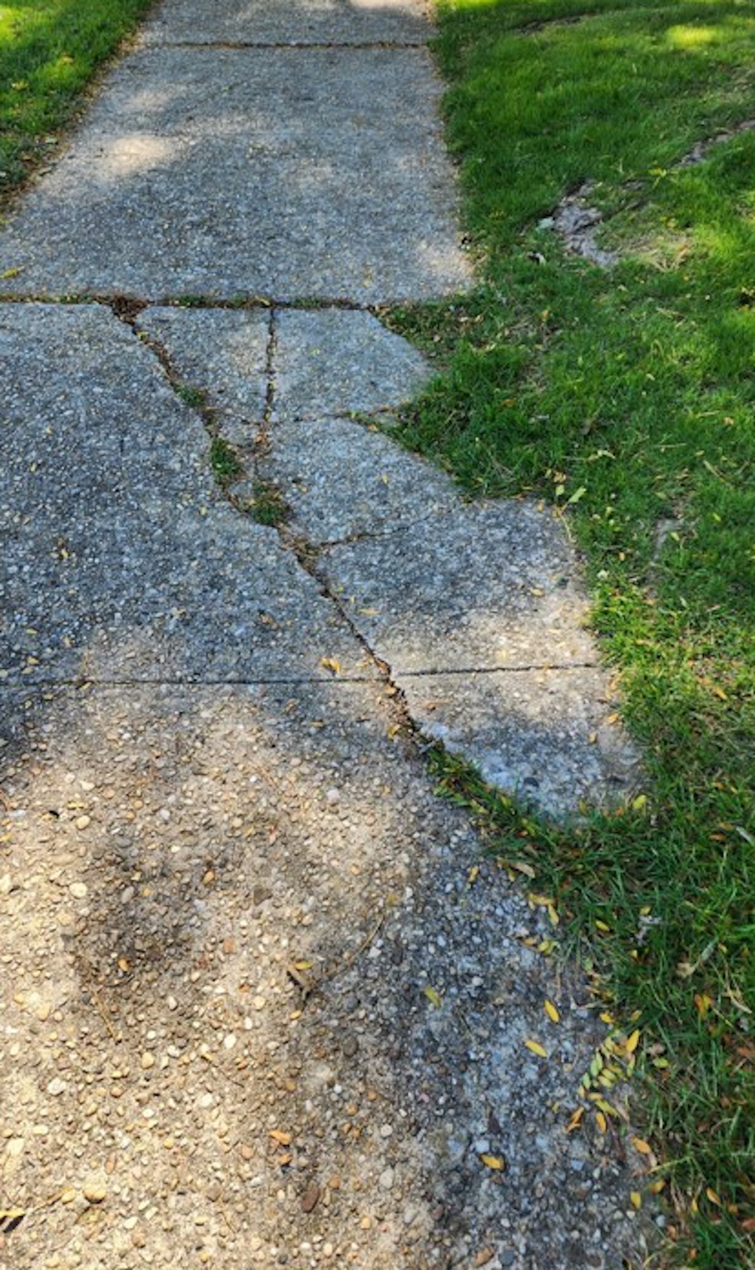 Cracks in the sidewalk outside John M. Marshall Elementary School. EAST HAMPTON SCHOOL DISTRICT