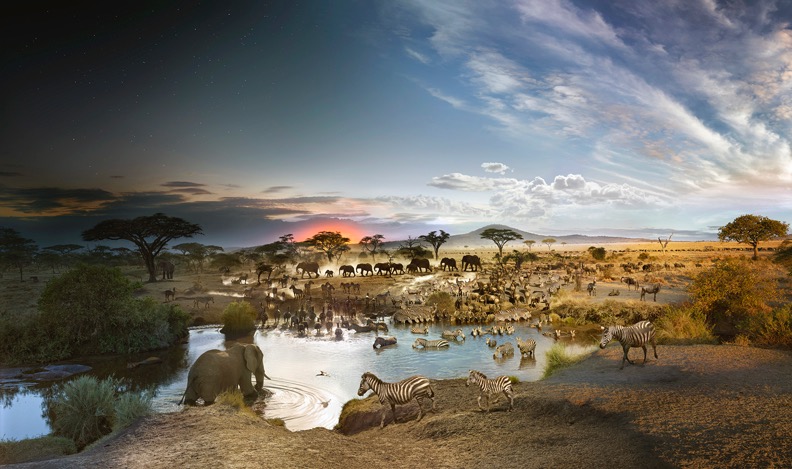 Serengeti by Stephen Wilkes.