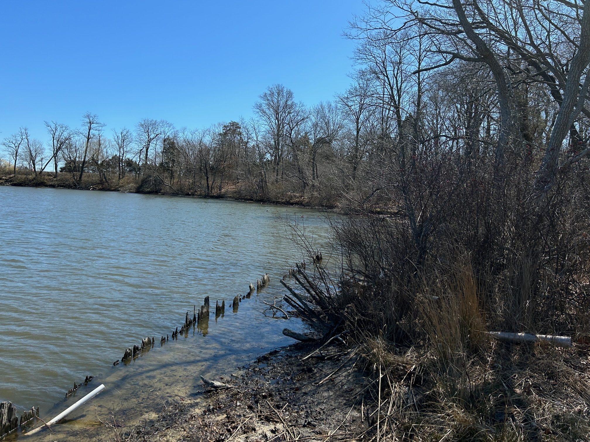 The view south across Mill Creek from a planned public park in Water Mill.   KITTY MERRILL