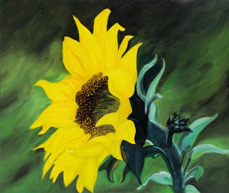 Joan Tripp - Sunflower - 16 x 20 - Oil on Canvas