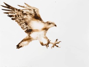 Alexis Rockman. Osprey. 18 x 24 inches. 