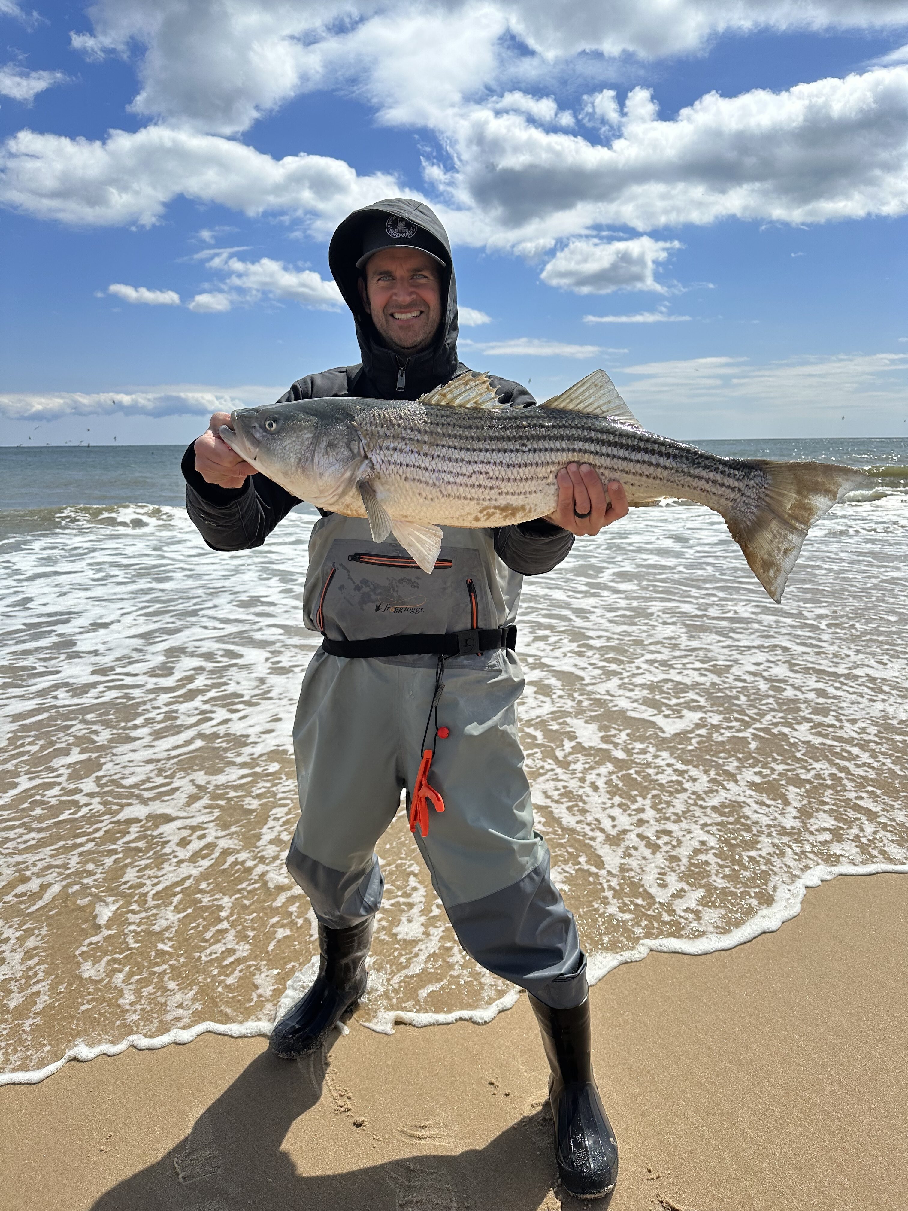 Jason Poremba with a nice striped bass caught from the beach this past week.