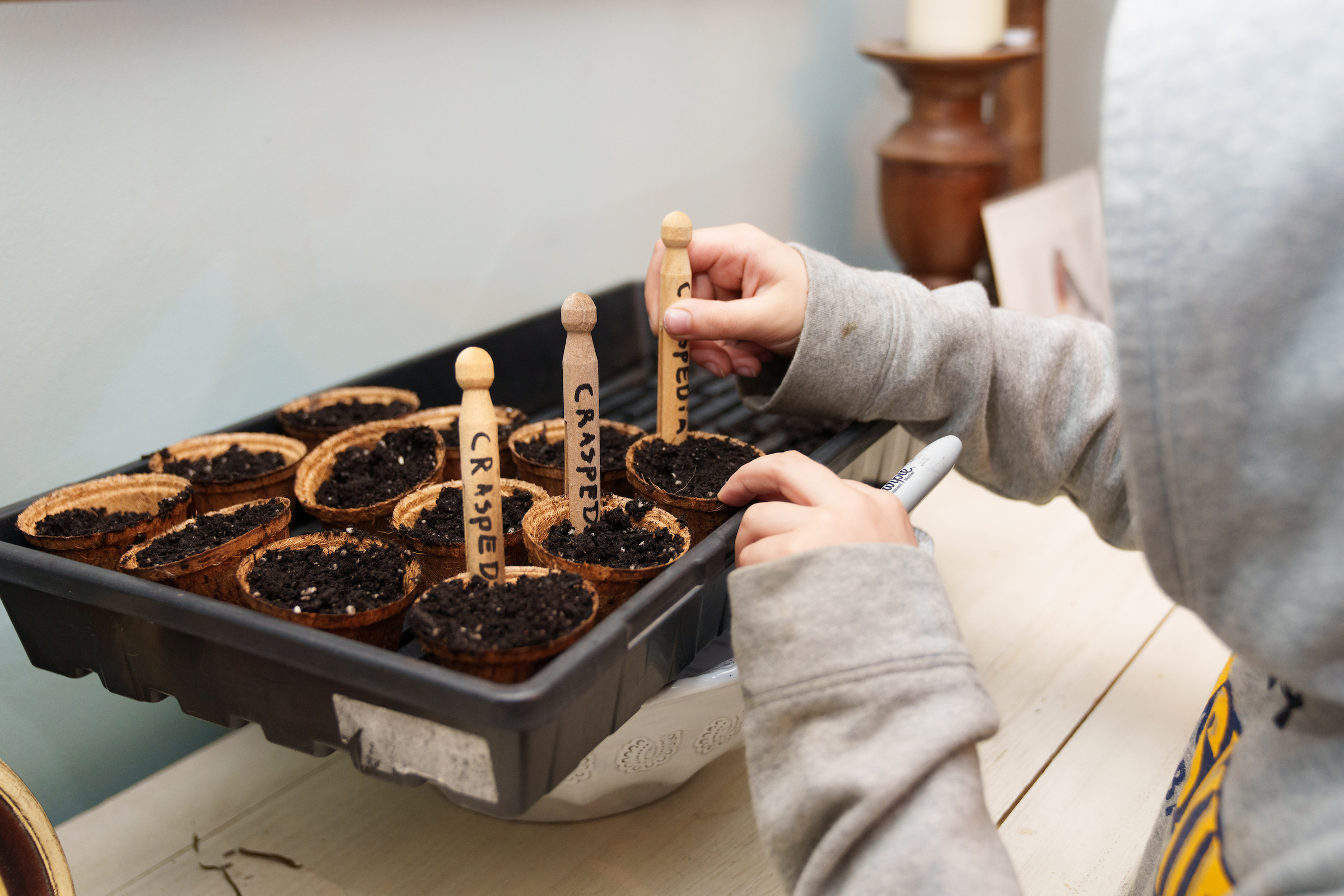 Seedling starters are an annual tradition in the Sanicola household. LORI HAWKINS