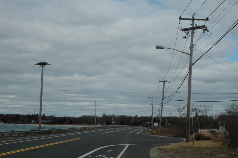 Power lines along Long Beach heading to North Haven. Stephen J. Kotz photo