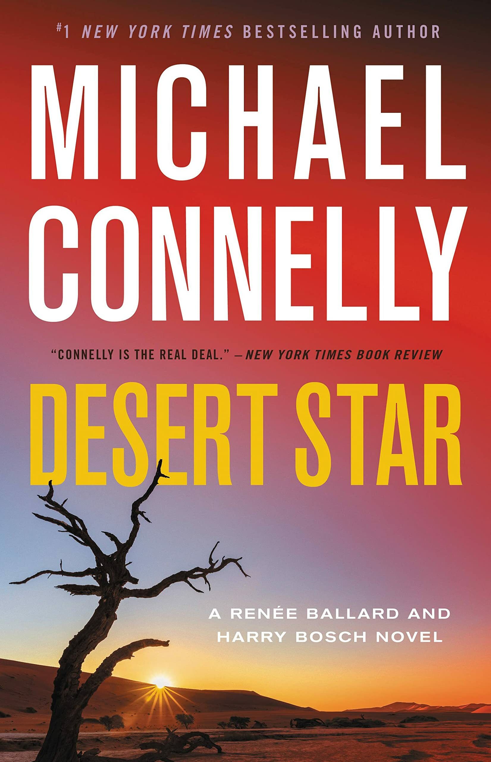 Michael Connelly's book 