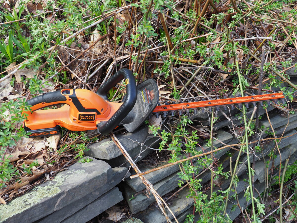 A simple, lightweight hedge trimmer, even with guards and the operator wearing heavy gloves, can easily remove fingers as well as the invasive multiflora rose canes. Follow the directions and always leave safety devices and guards in place.
ANDREW MESSINGER