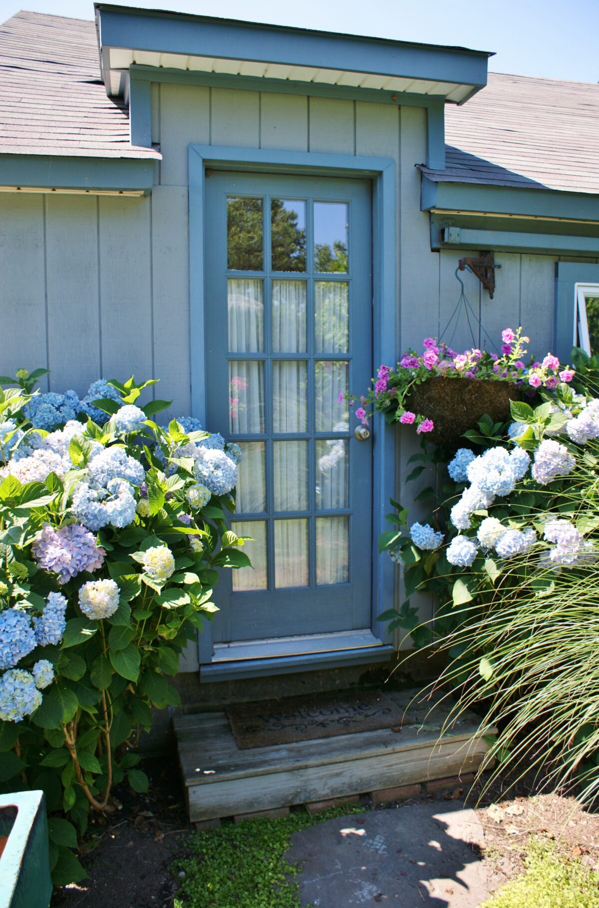 A guest house entry with Hydrangeas and Petunias at Ellen Coster and Maurice Isaac’s garden in Mattituck.  KARL GERCENS