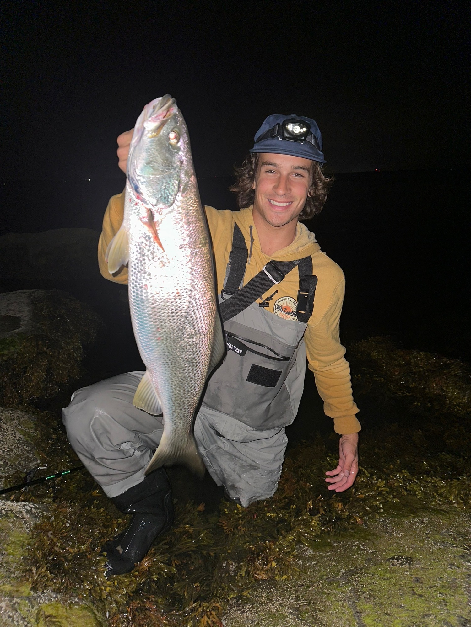 Fishing for weakfish, like this nice one caught recently by Gus Segarra, has been gangbusters again this spring in the Peconics and western Shinnecock Bay.