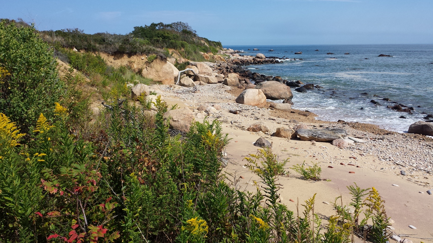 Rocky shoreline of Plum Island. Louise Harrison photo