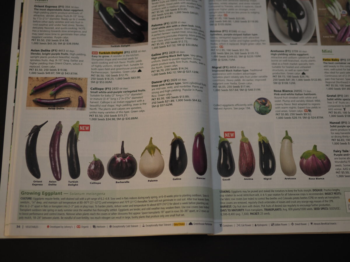 From Johnny’s Selected Seeds 2023 catalog, 13 of their 18 eggplant varieties available from seed. They offer Asian, Italian and five miniature varieties. The minis are great for patio and pot culture and four of them are AAS selections for this year.