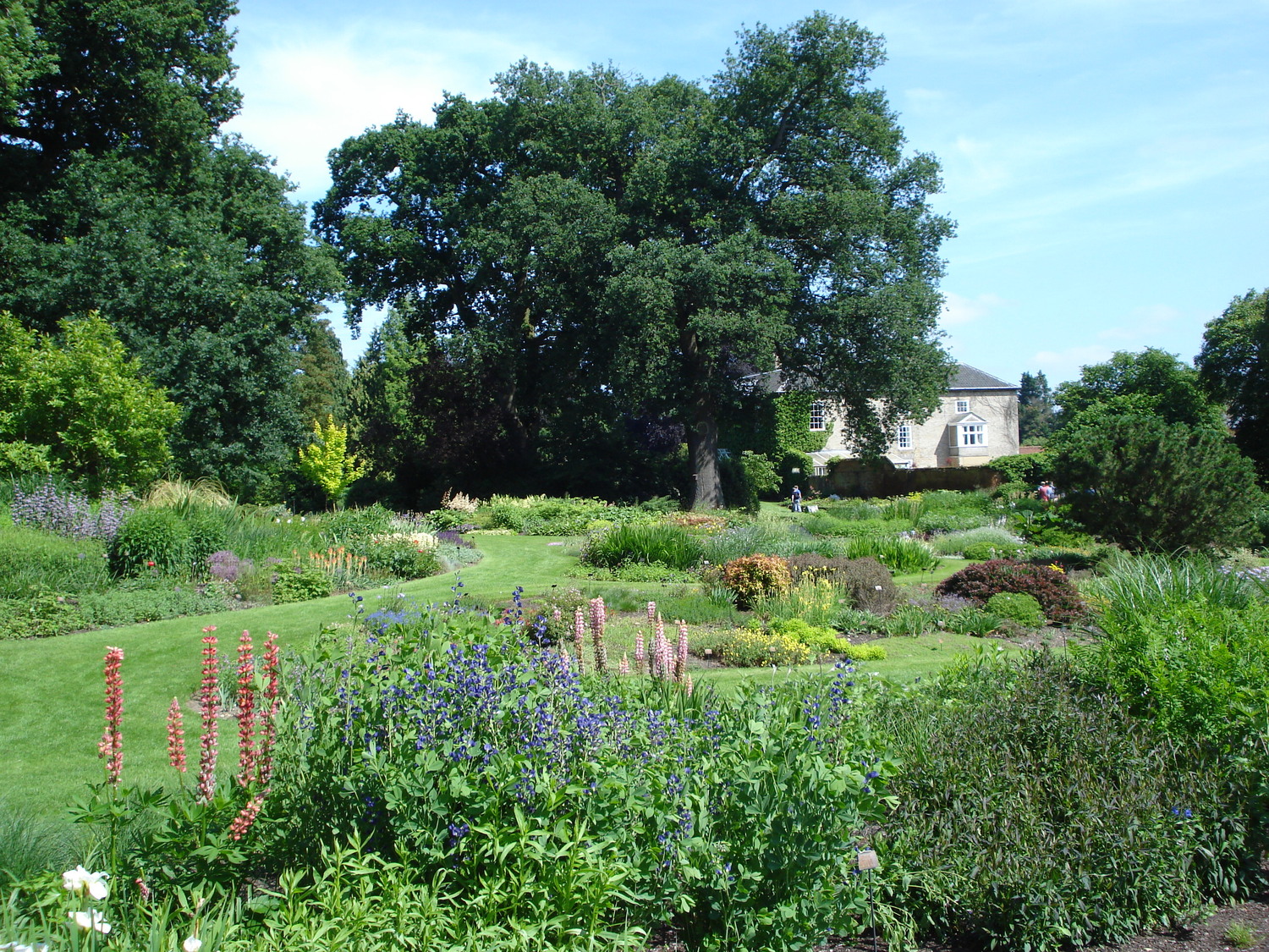 A small portion of the island perennial gardens by Alan Bloom at Bressingham Gardens. The perennial and dwarf conifer gardens cover some 15 acres.
 IKCUR/WIKIMEDIA COMMONS, <a href=