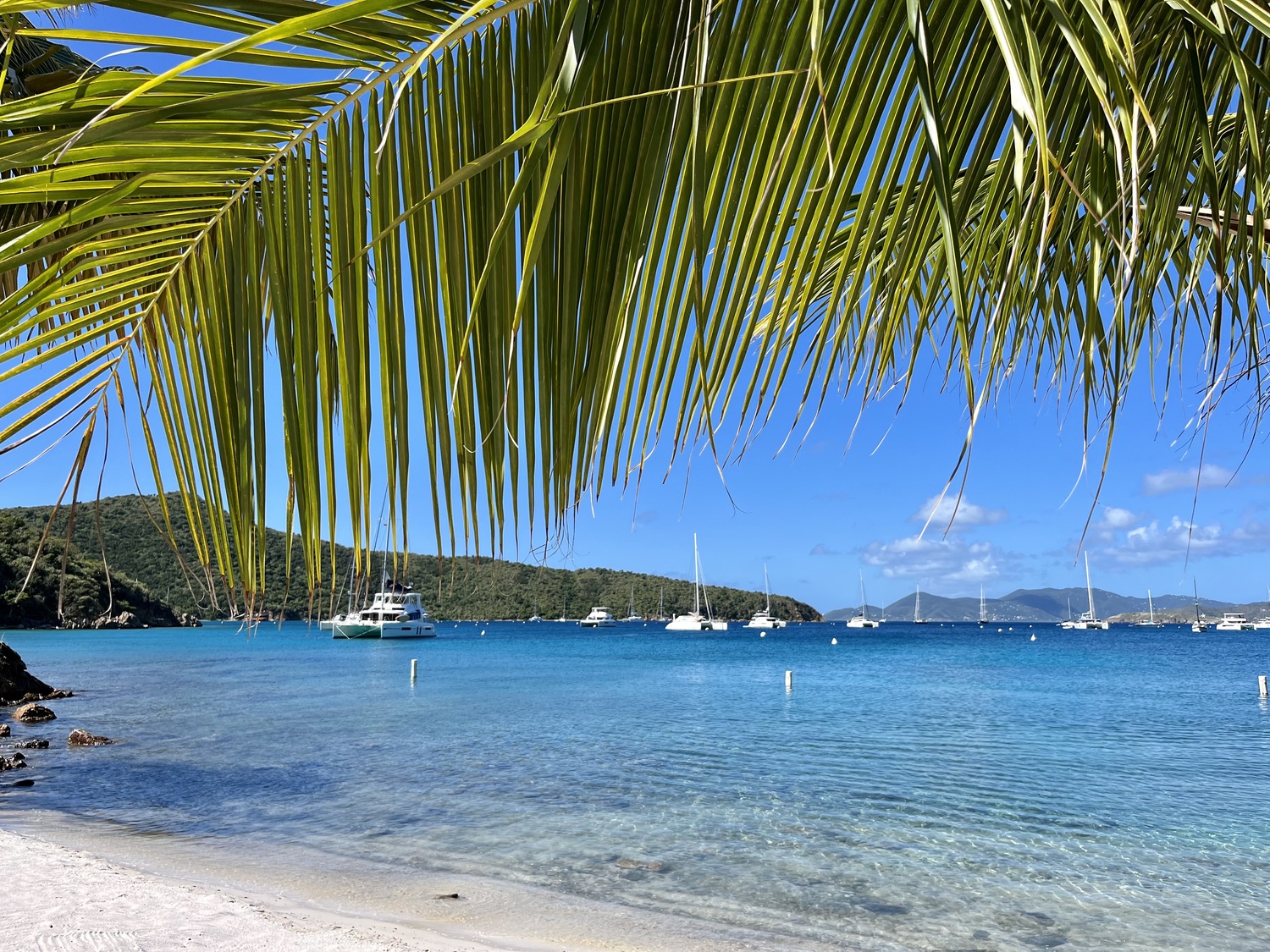 Cooper Island. Hannah Selinger photo