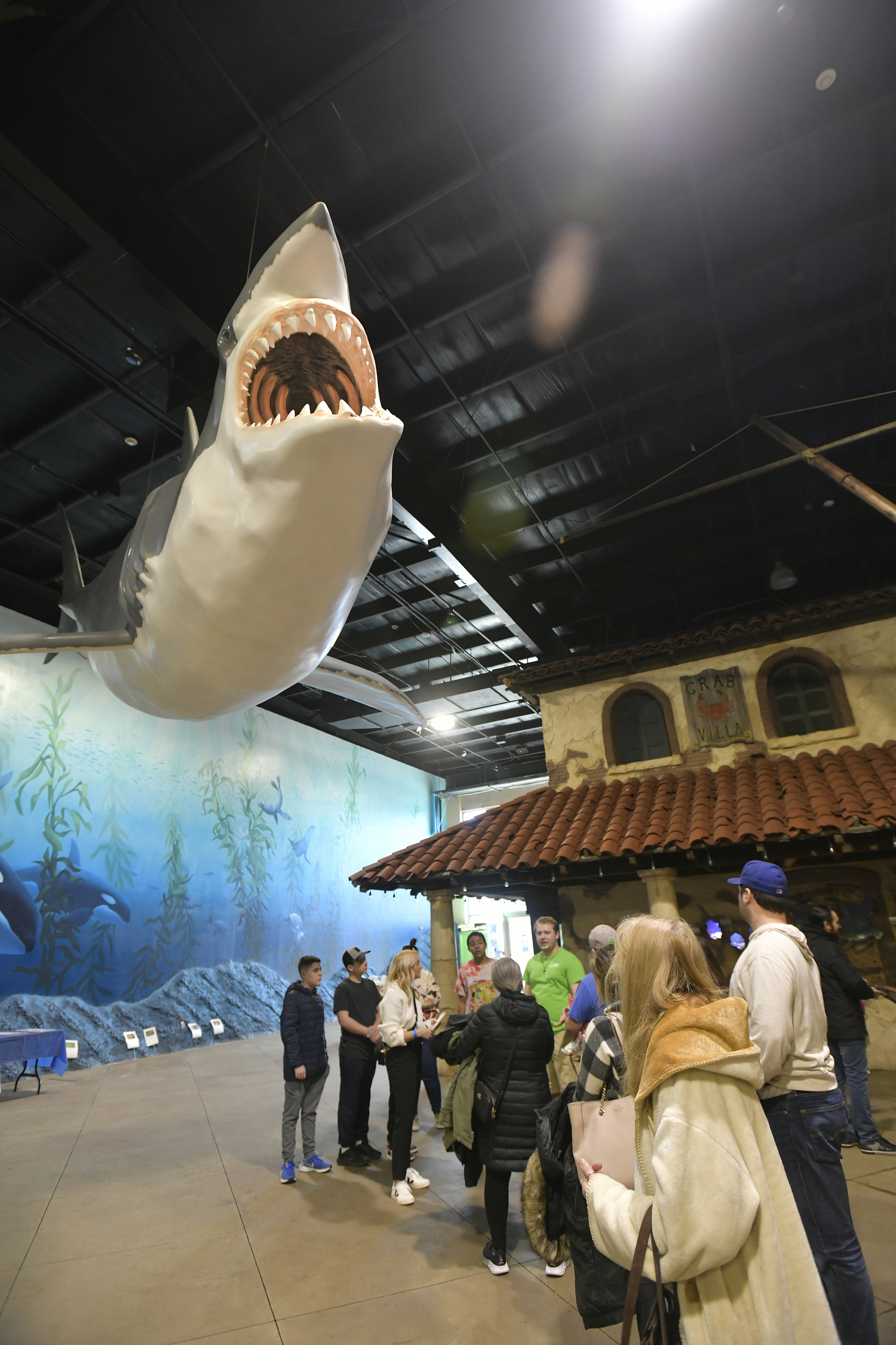 A model of a large great white shark hangs at the Long Island Aquarium in Riverhead. DANA SHAW