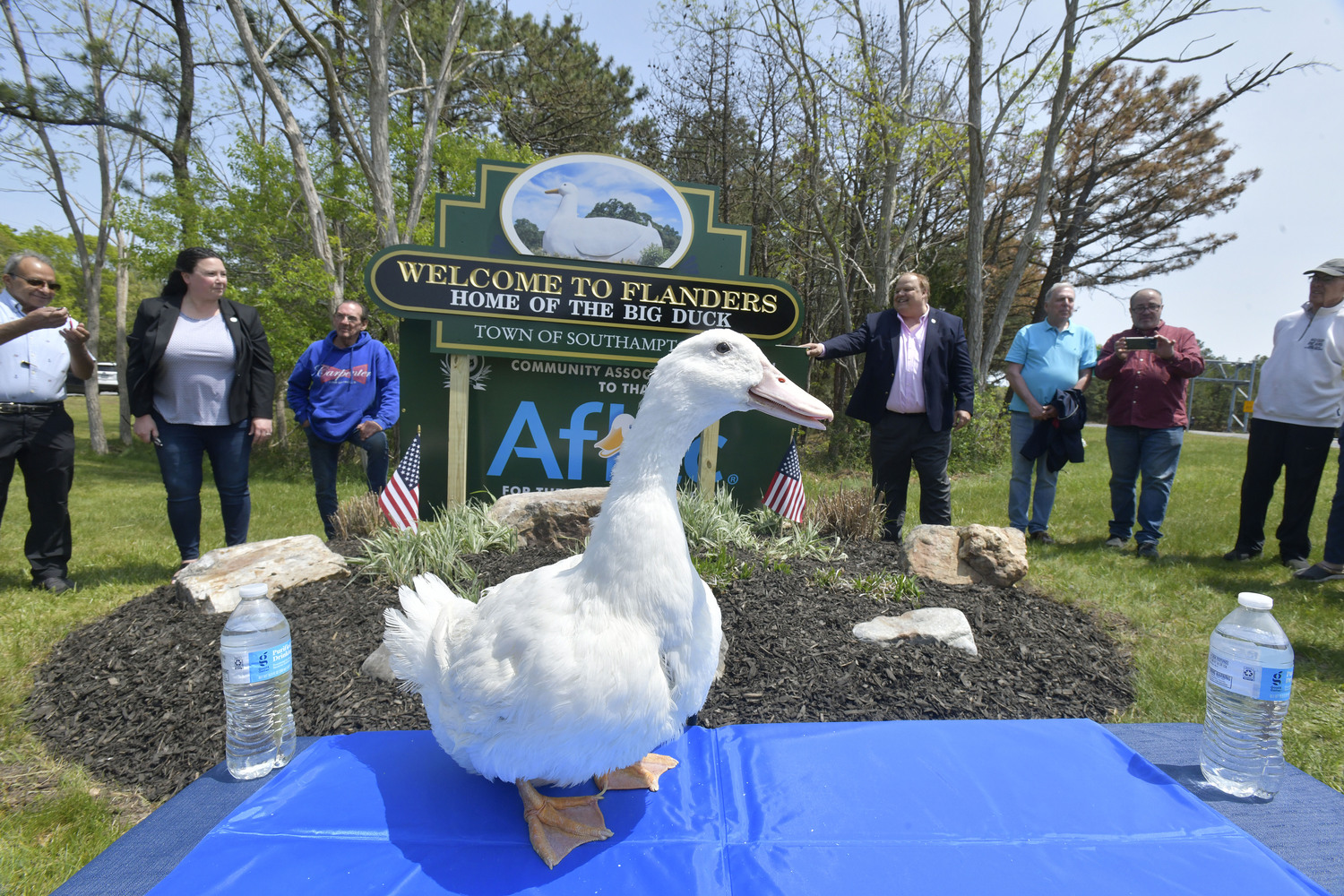 The guest of honor,  AFLAC duck in front of the new sign in Flanders on Monday afternoon.   DANA SHAW