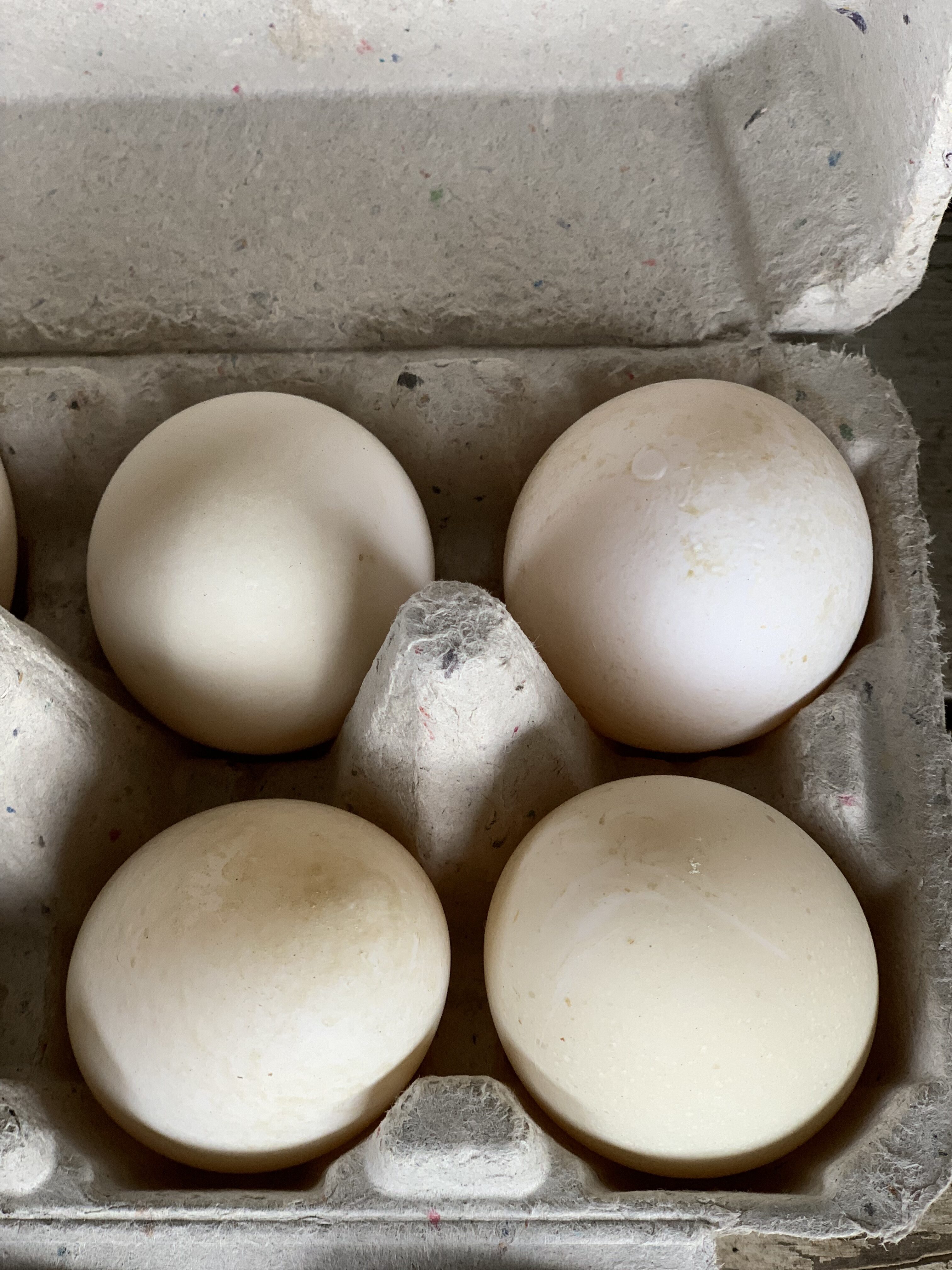Stone's Throw Farm's duck eggs. COURTESY FOSTER FARM
