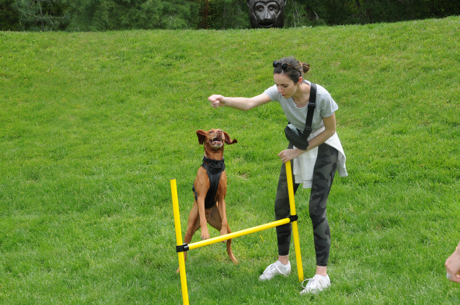 It was a day of family fun, featuring Puppies and puppets, at LongHouse Reserve in East Hampton on Saturday. Kim Profaci of the The Marionette Company put on a Marionette performance and helped attendees choose supplies to make their own. Above, Seana Oorloff  with Sage in the Edward Albee Amphitheater, under the watchful eyes of sculptor Ai Weiwei's 