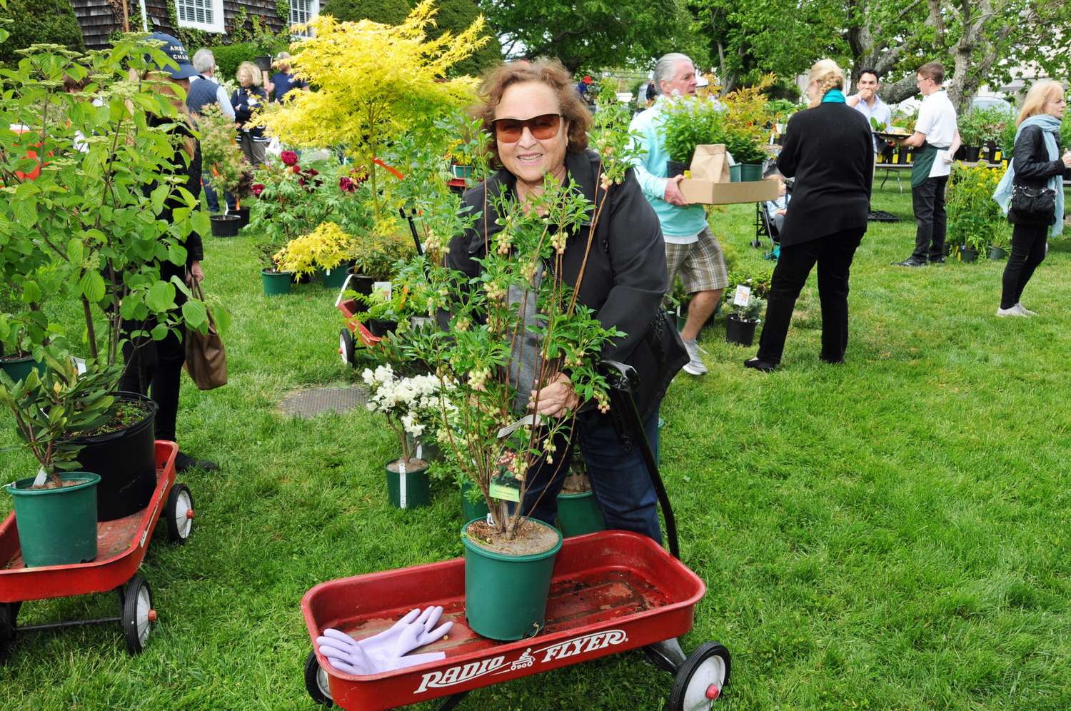 Barbara Macklowe at the Horticultural Alliance of the Hamptons 2023 Garden Fair preview sale on Friday at the  Bridgehampton Community House.   RICHARD LEWIN