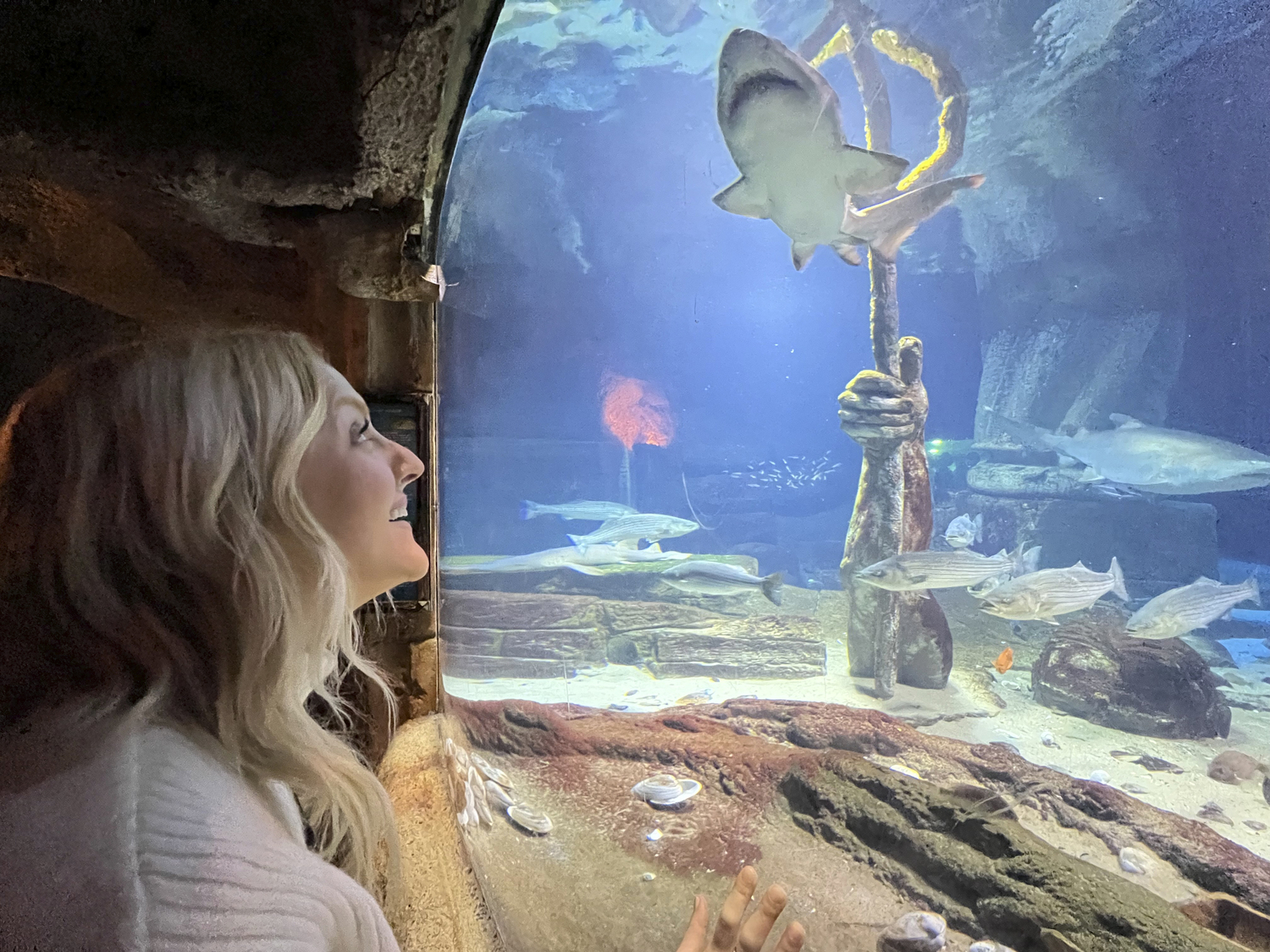 Desirée watches as a shark glides past the window at the Long Island Aquarium. DANA SHAW