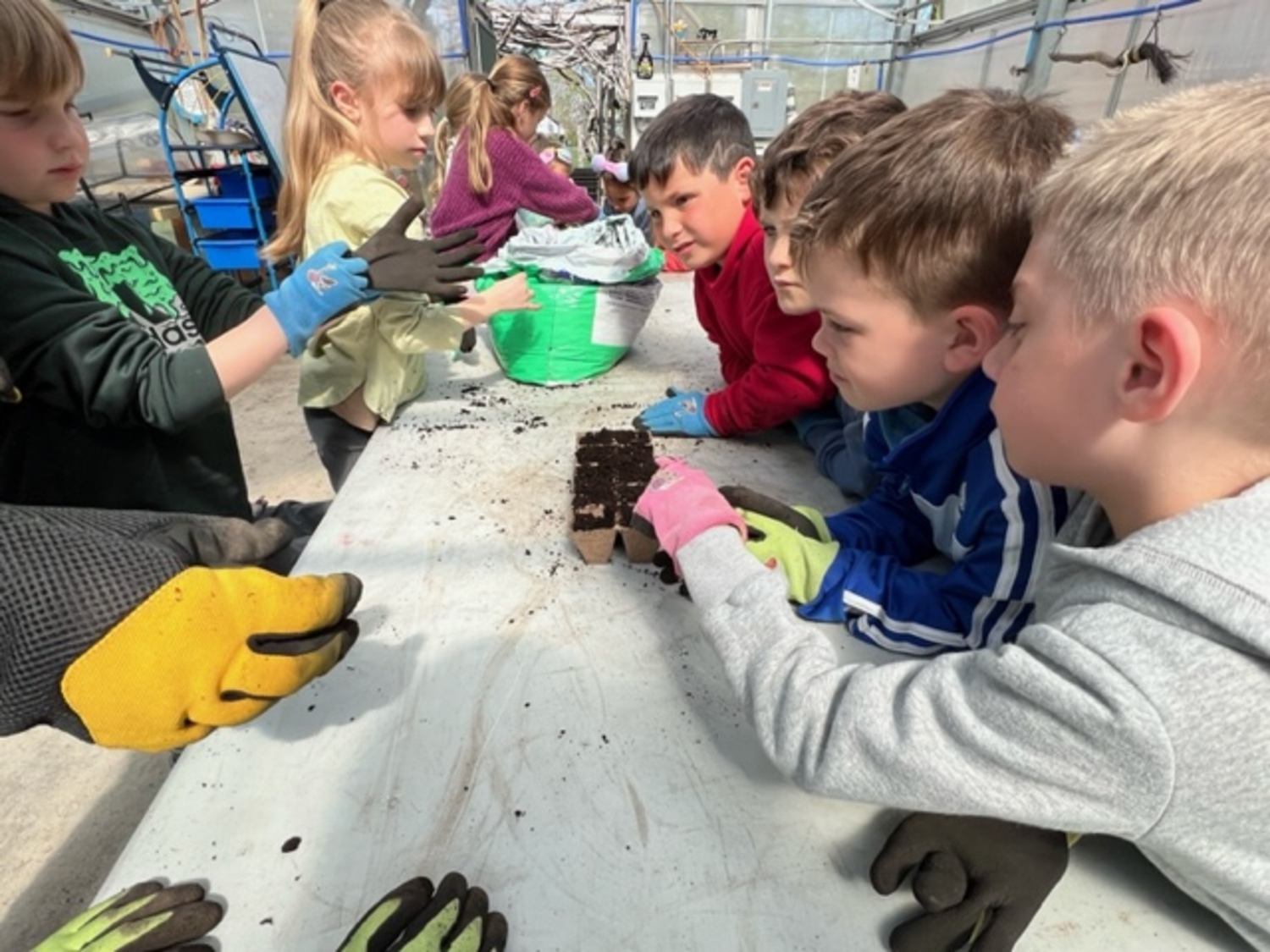 First graders kicked off the Sag Harbor Elementary community garden by planting seeds recently. COURTESY SAG HARBOR SCHOOL DISTRICT