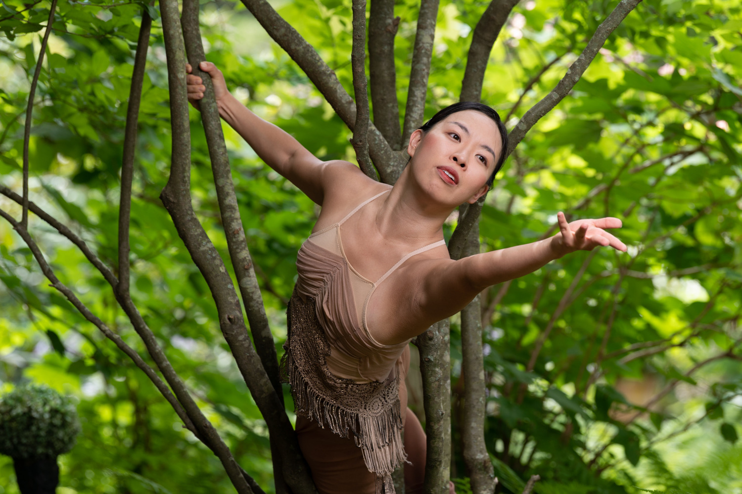 Green Afternoon X, a modern dance performance, will be presented at a private home in East Hampton on July 8. COURTESY AMANDA SELWYN DANCE THEATRE