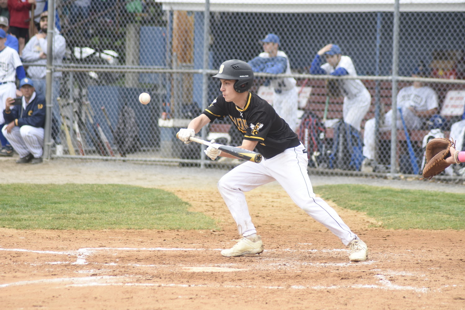 Bridgehampton senior Kris Vinski tries to sacrifice bunt Shawn Gnyp to second base.   DREW BUDD