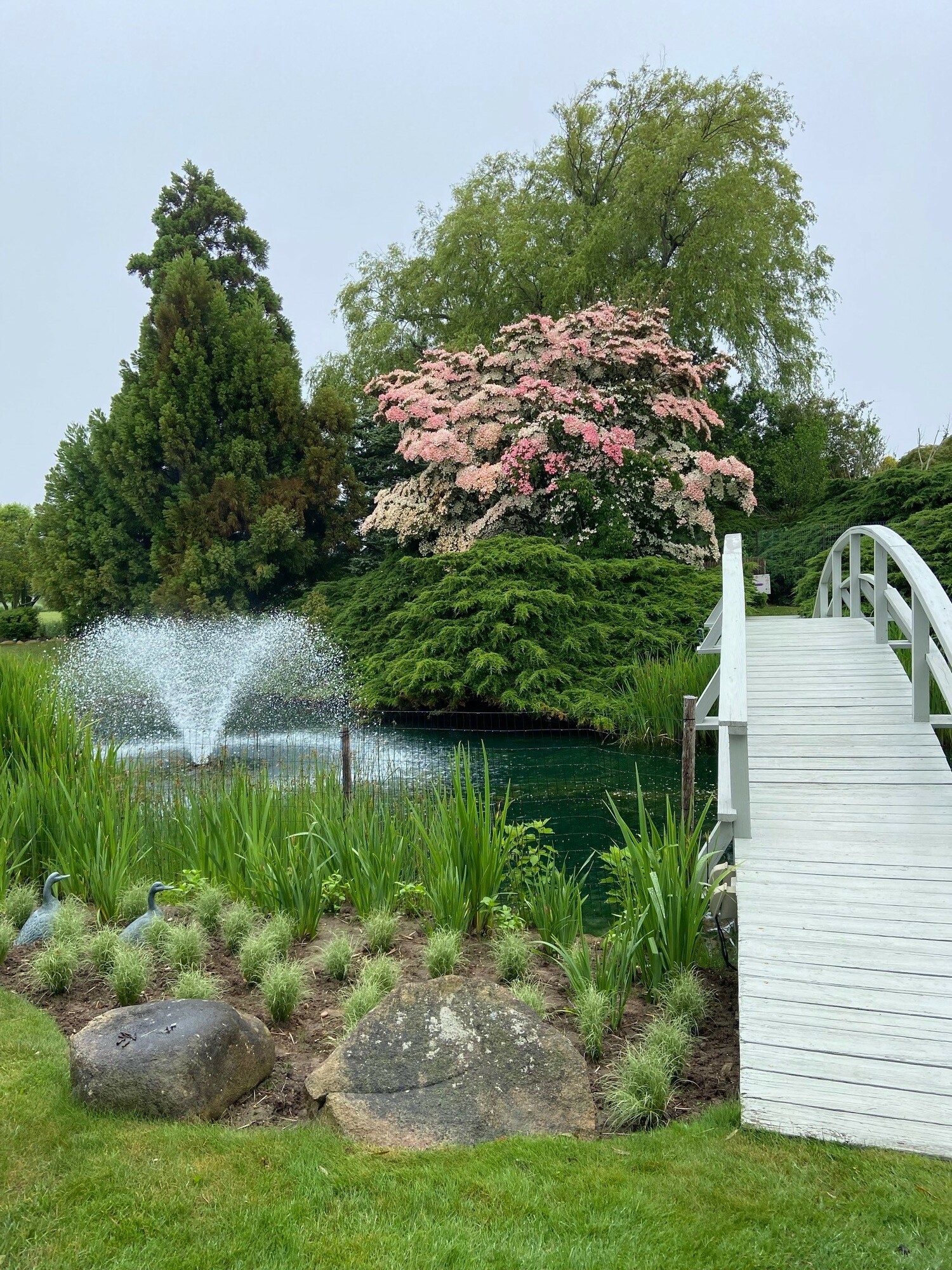 Captains Neck Fountain. SUSAN ALLEN