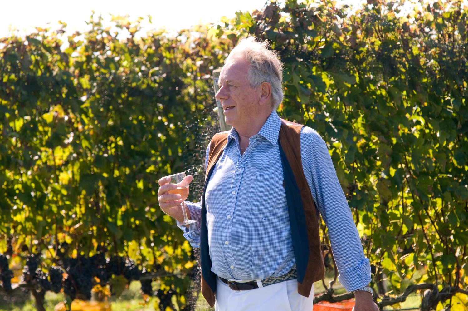 Wölffer Estate founder Christian Wölffer. MARK KOPKO