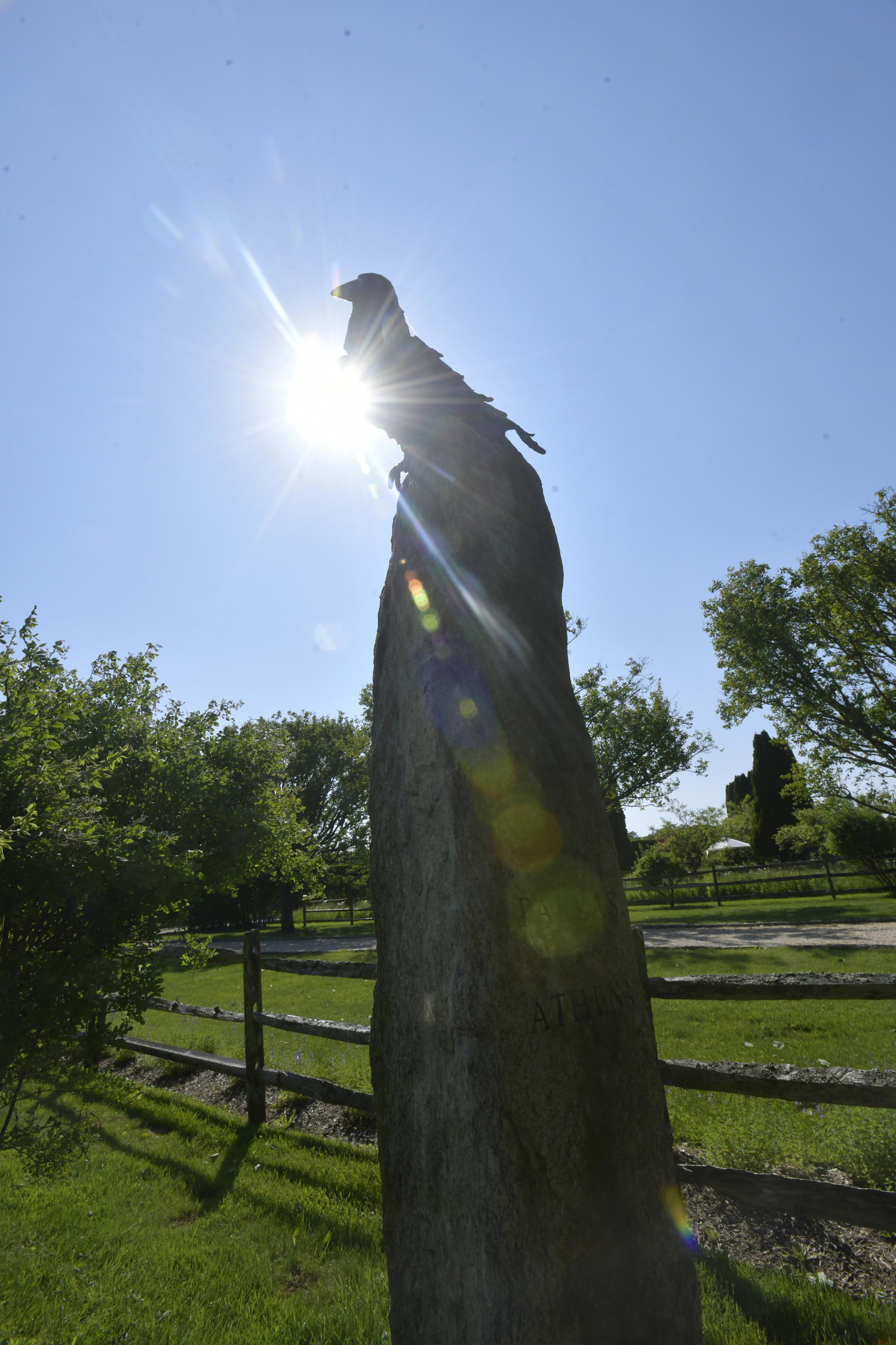 Ravens welcome visitors to the cenotaph.  DANA SHAW