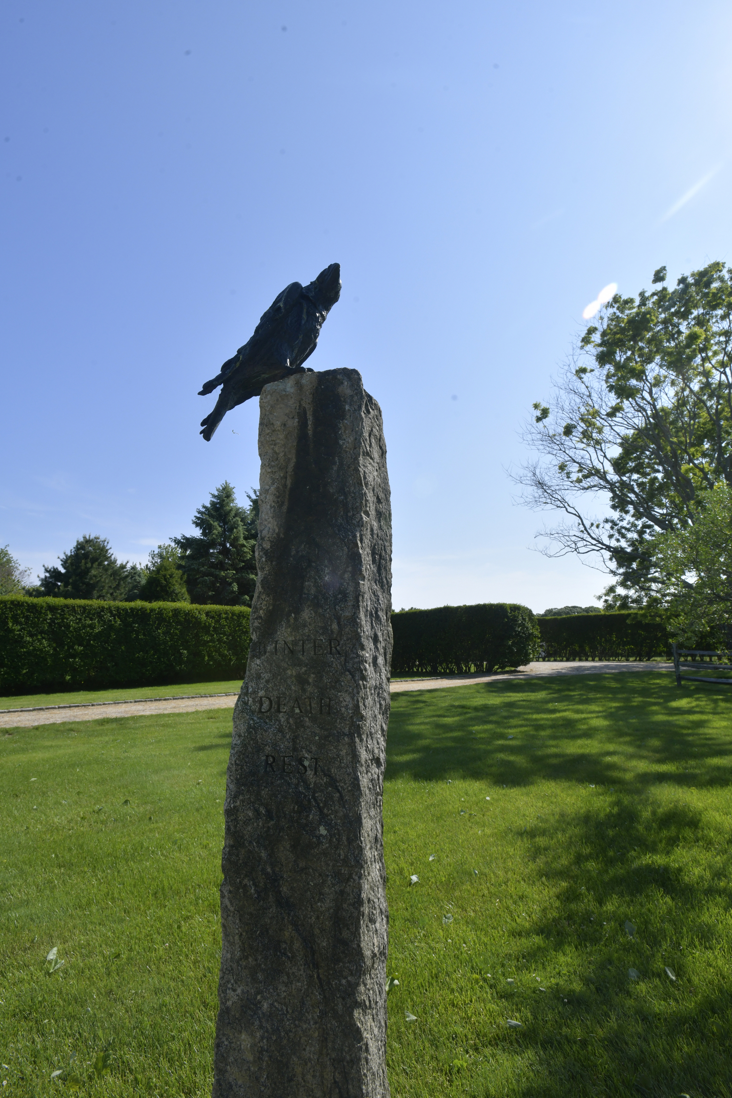 Ravens welcome visitors to the cenotaph.  DANA SHAW